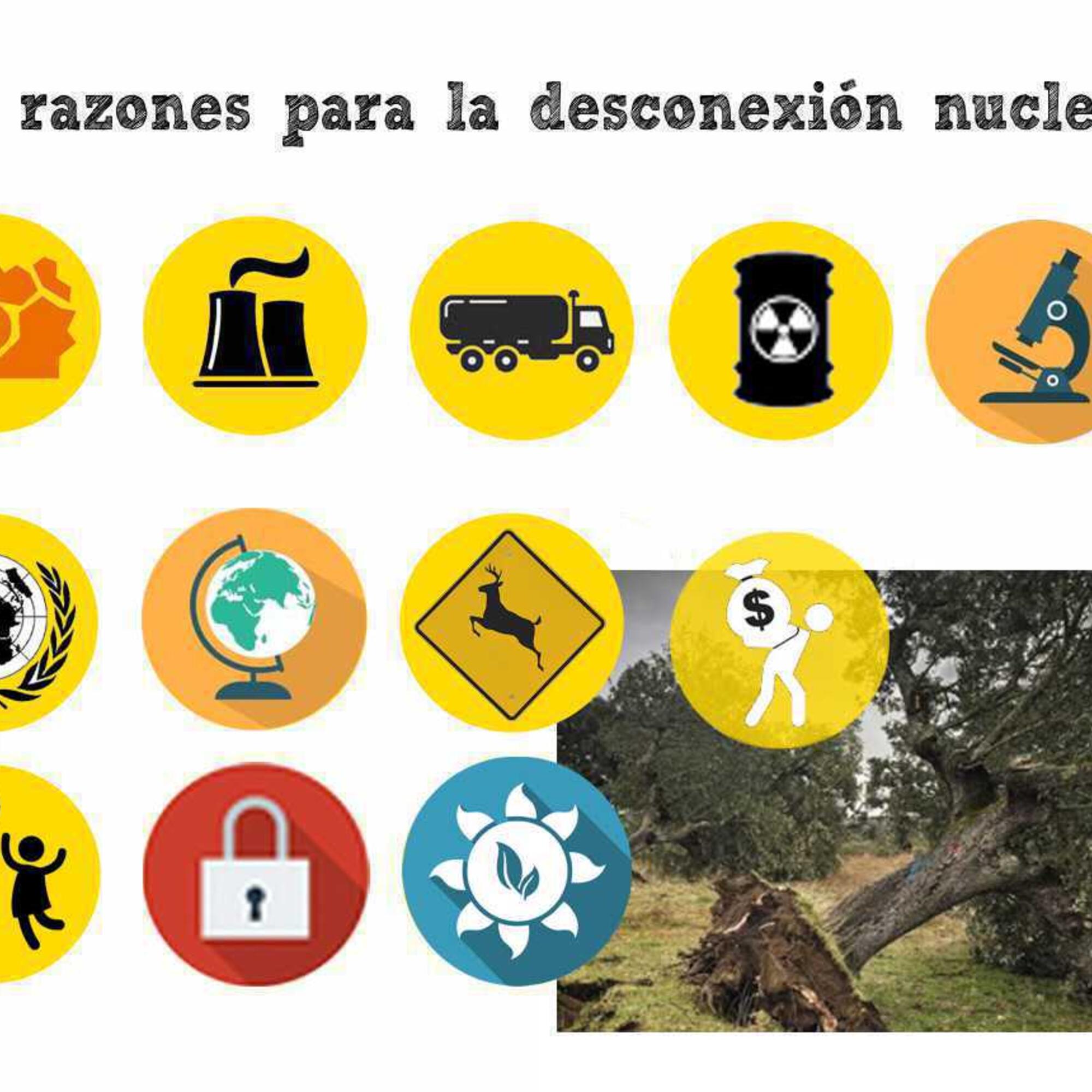 12 razones para la desconexión nuclear 