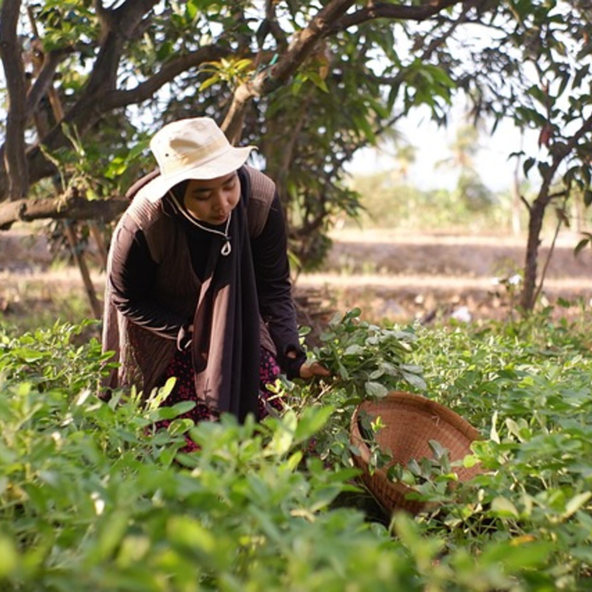 Mujer campesina