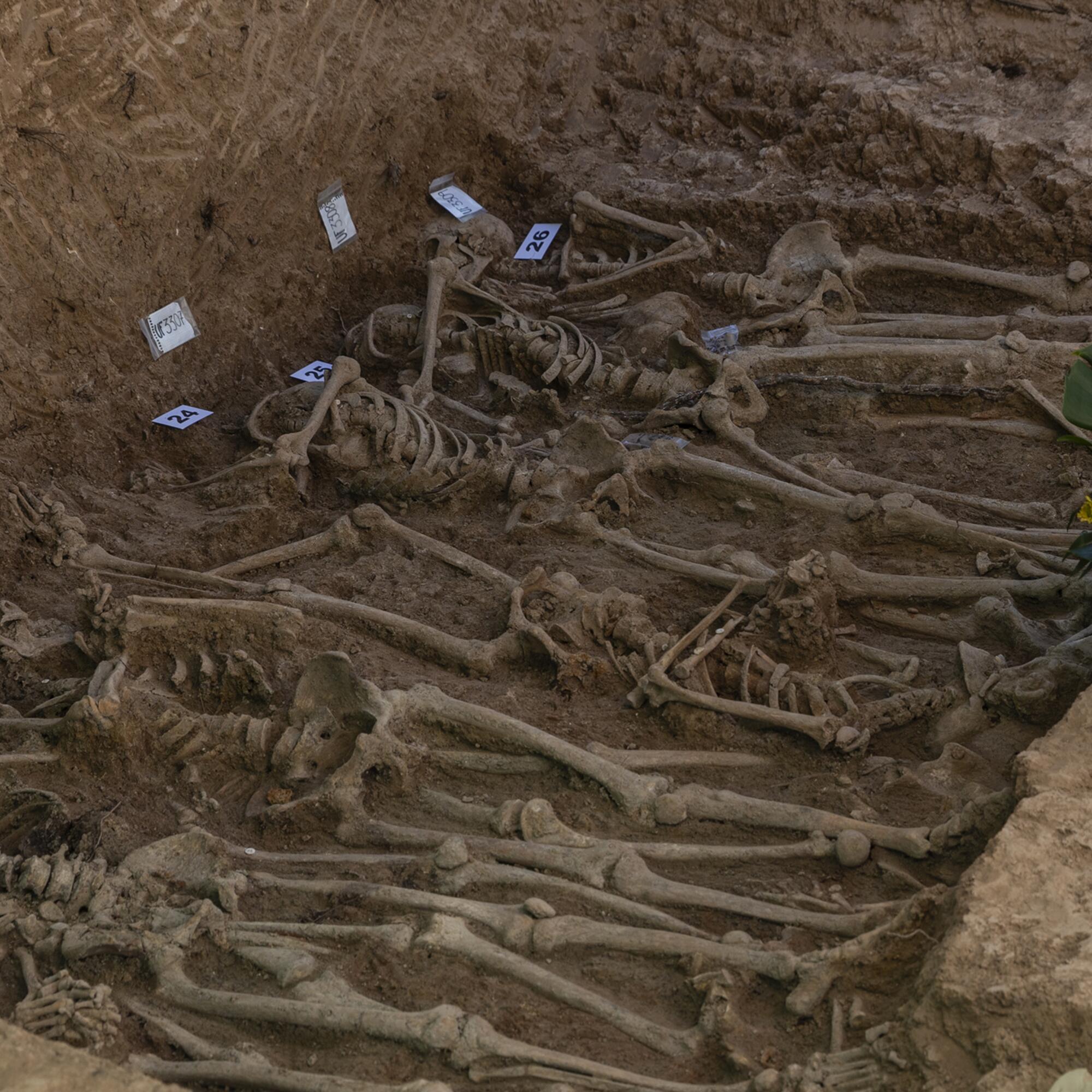 Sueca exhumación - 5