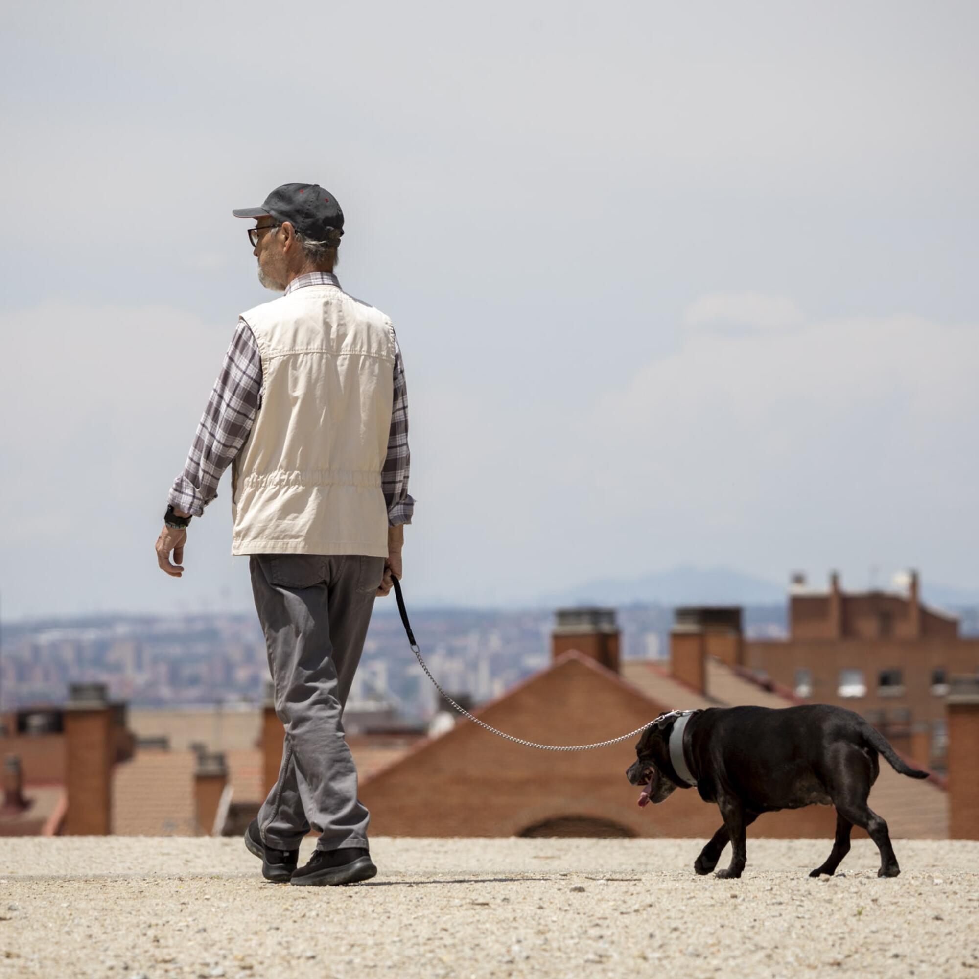 Galeria 23-06-06 - 1