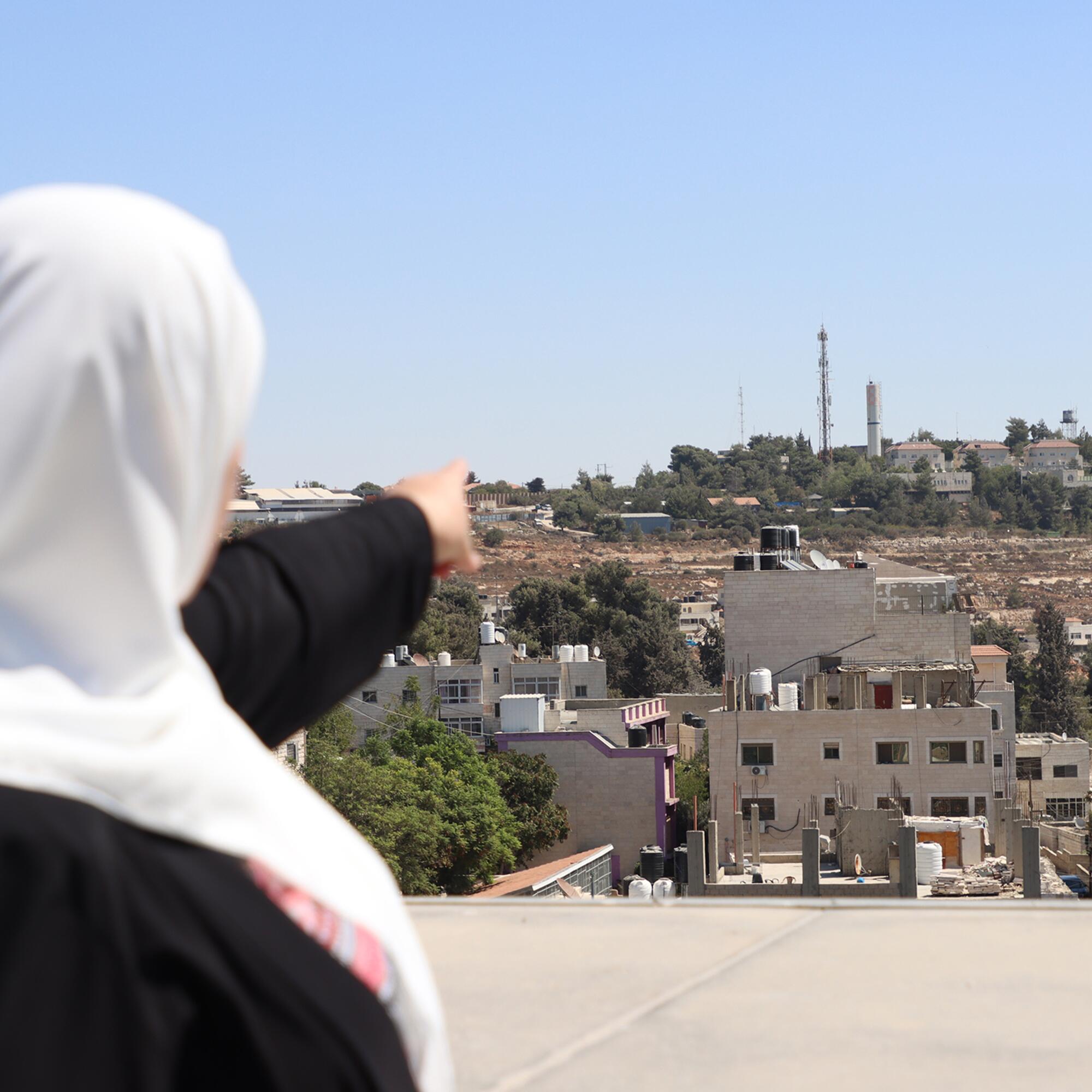 Palestina Viñedos - 3