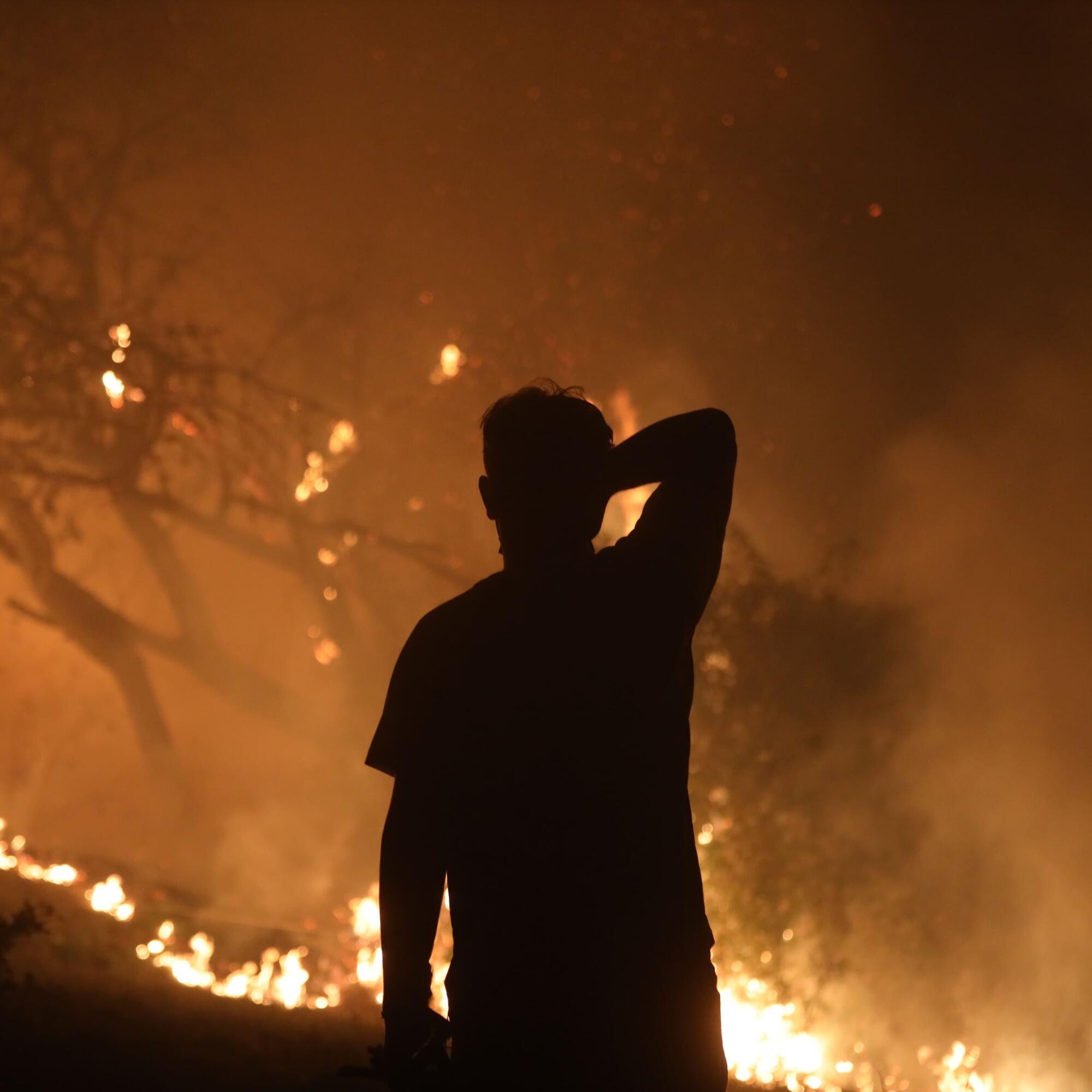 Incendio Cima de Vila, Concello de Pantón, Lugo - 6