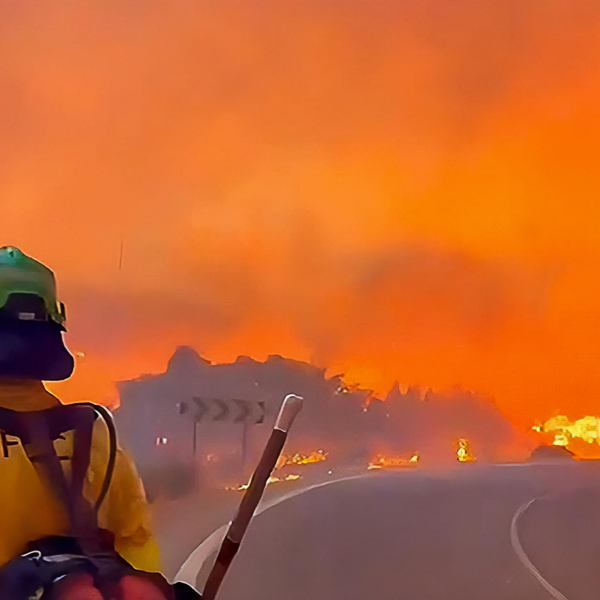 Los Gallardos Incendio