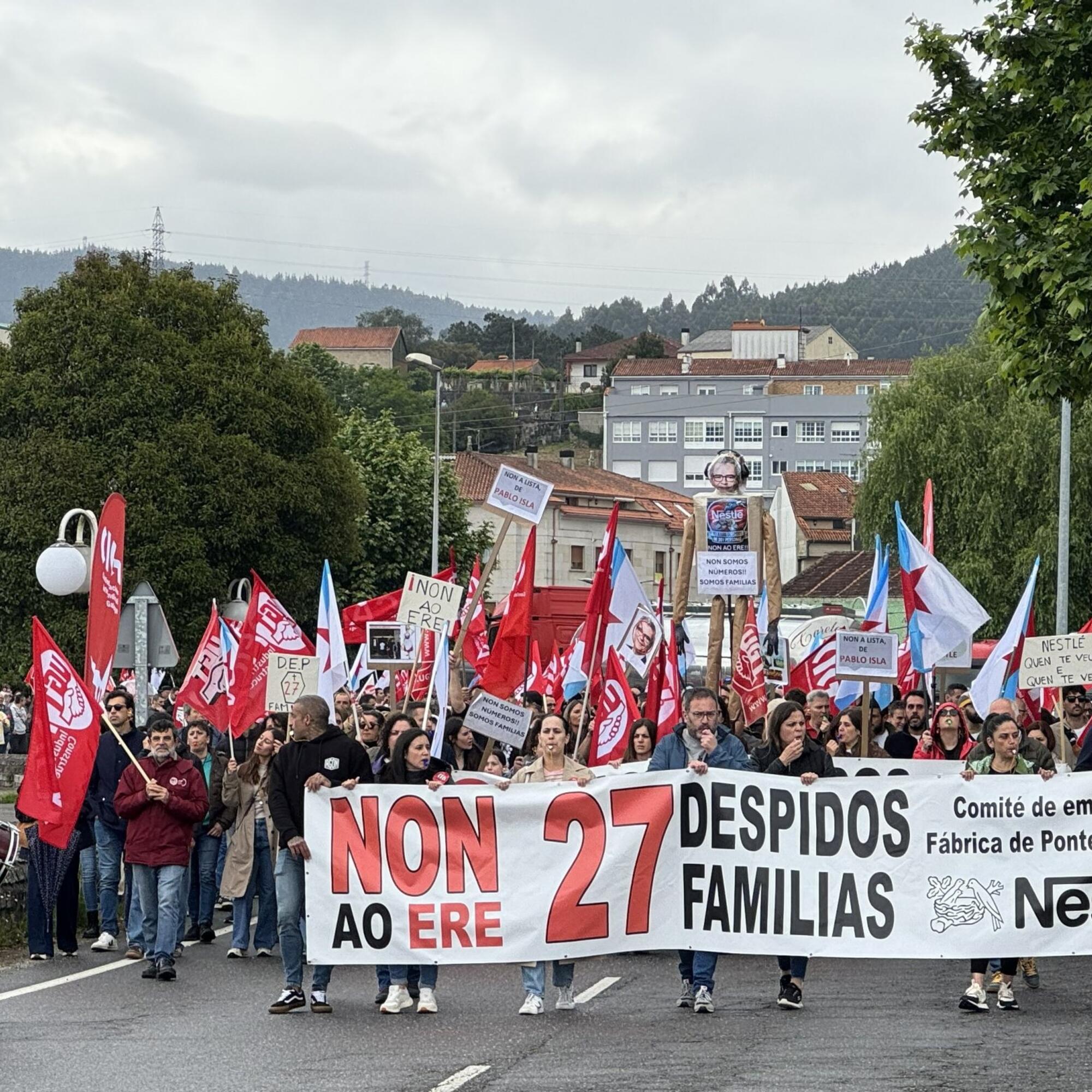 nestle pontecesures