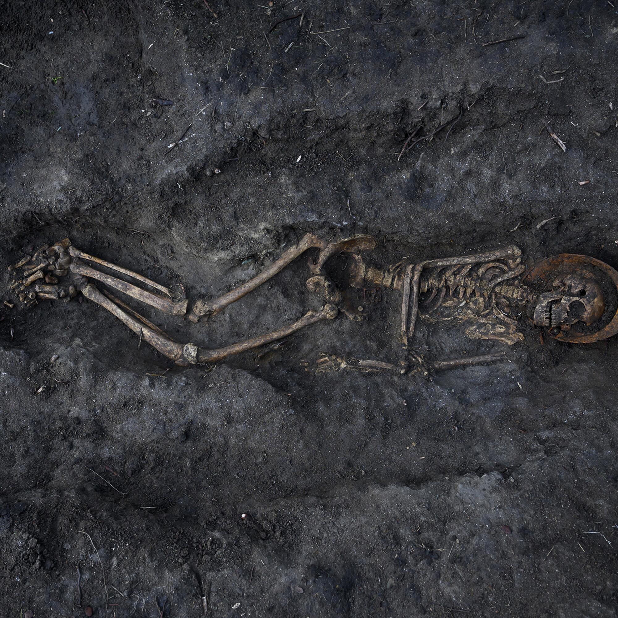 Brigadista Boadilla - 10