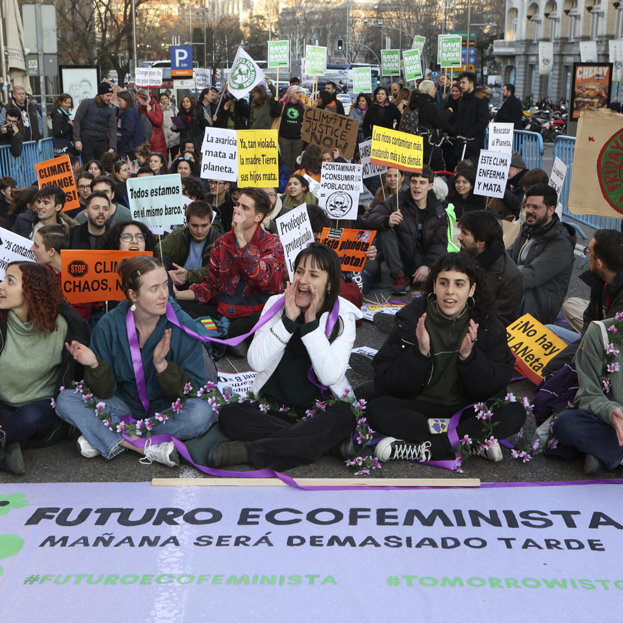 Acción por el Clima, Fridays for Future Madrid, en el Congreso - 4
