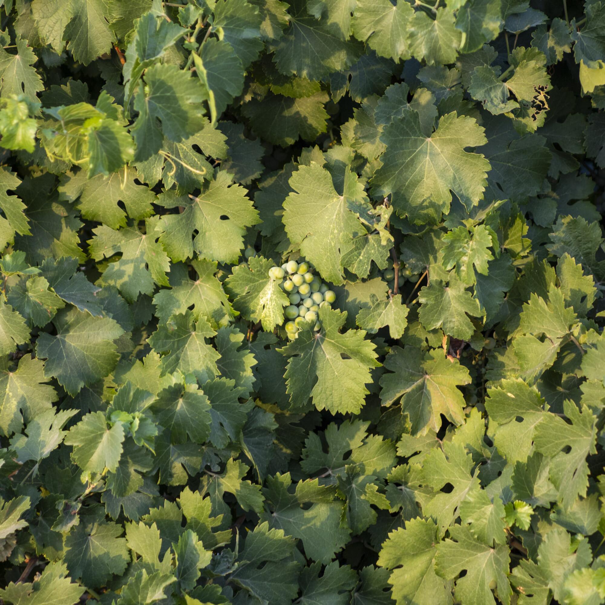 Archivo varios agosto 23 - 20