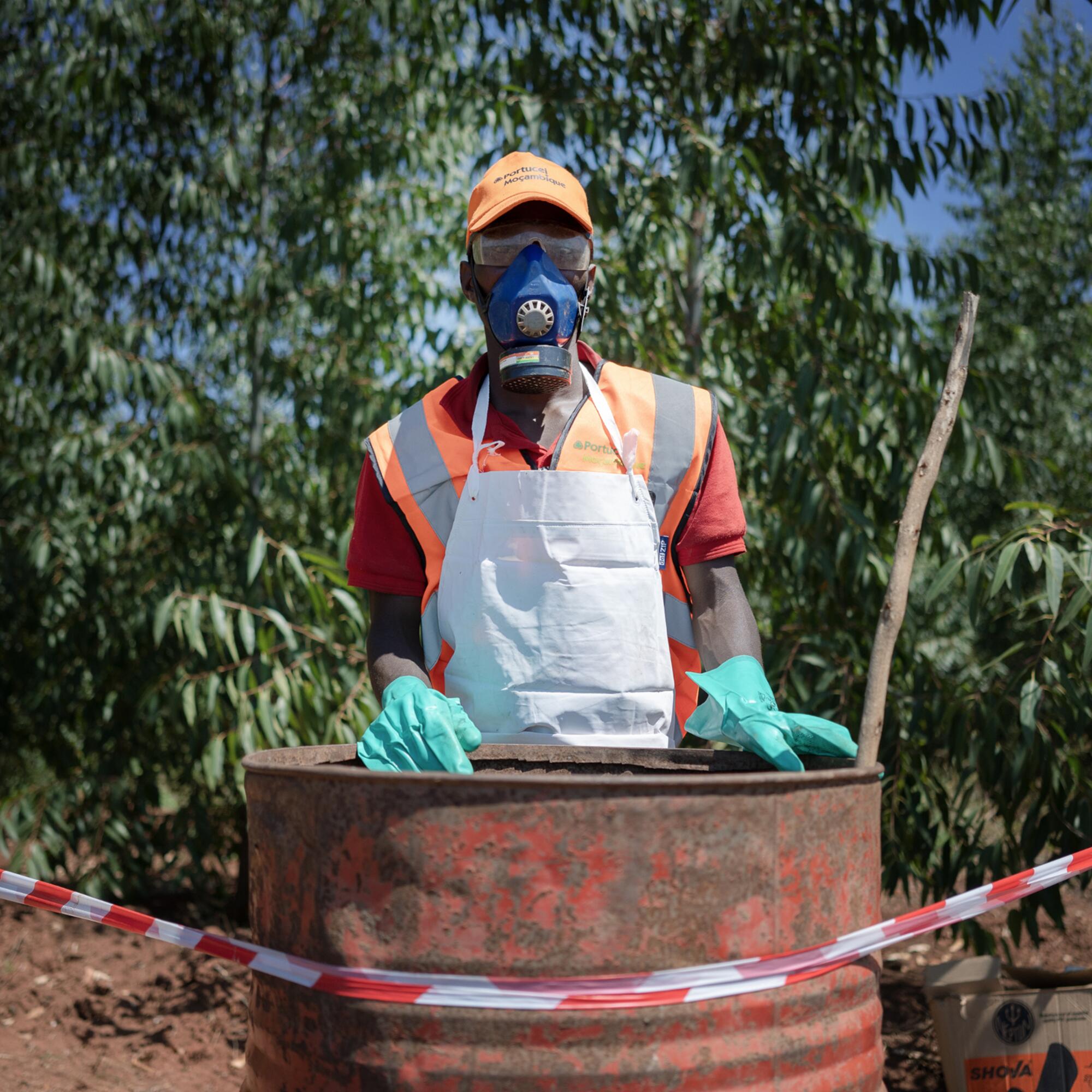 Industria celulosa en Mozambique - 1