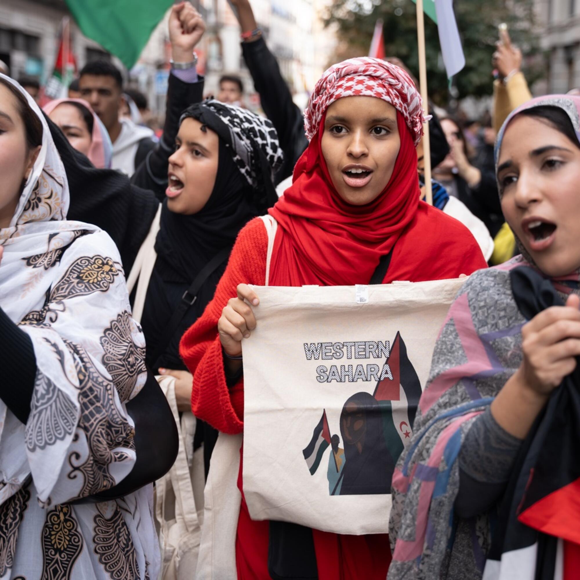 Manifestacion Sahara Occidental - 4