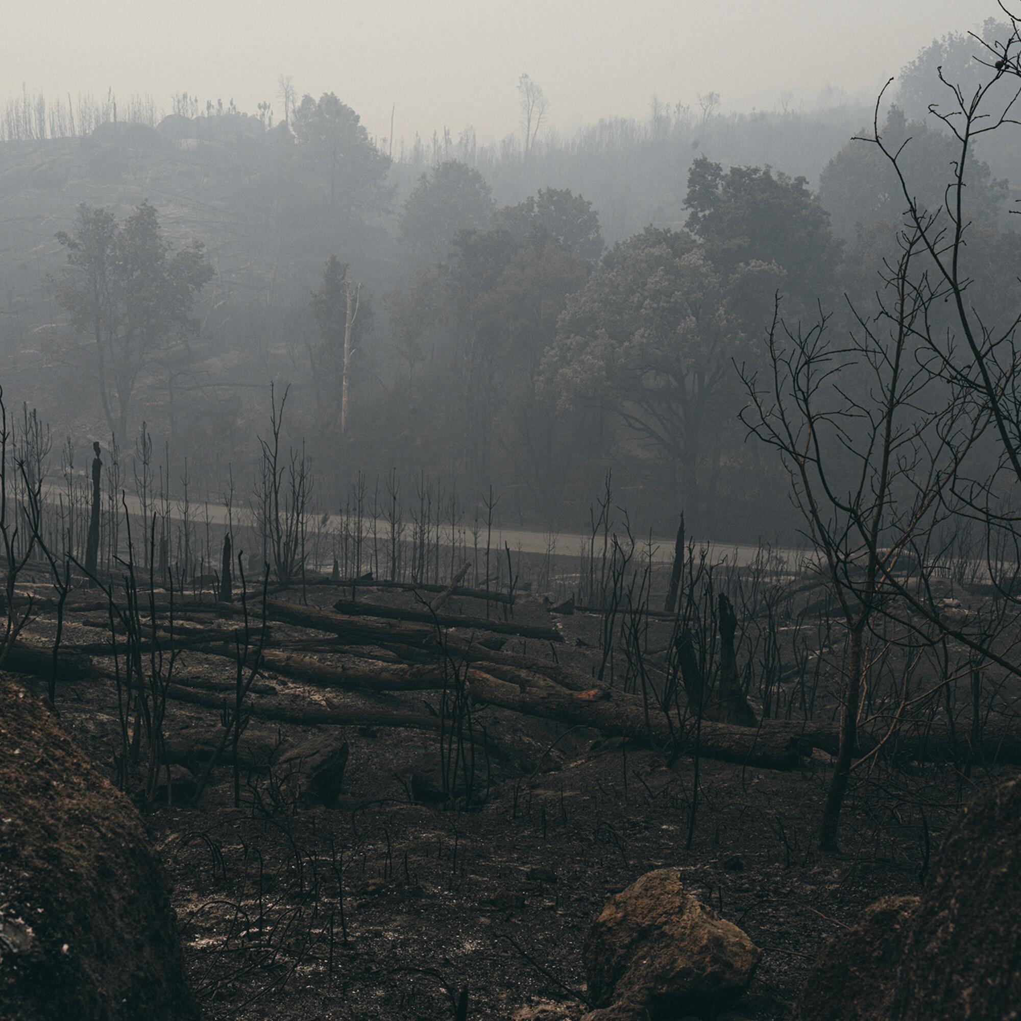 Incendio en Carballeda de Avia Ourense - 14