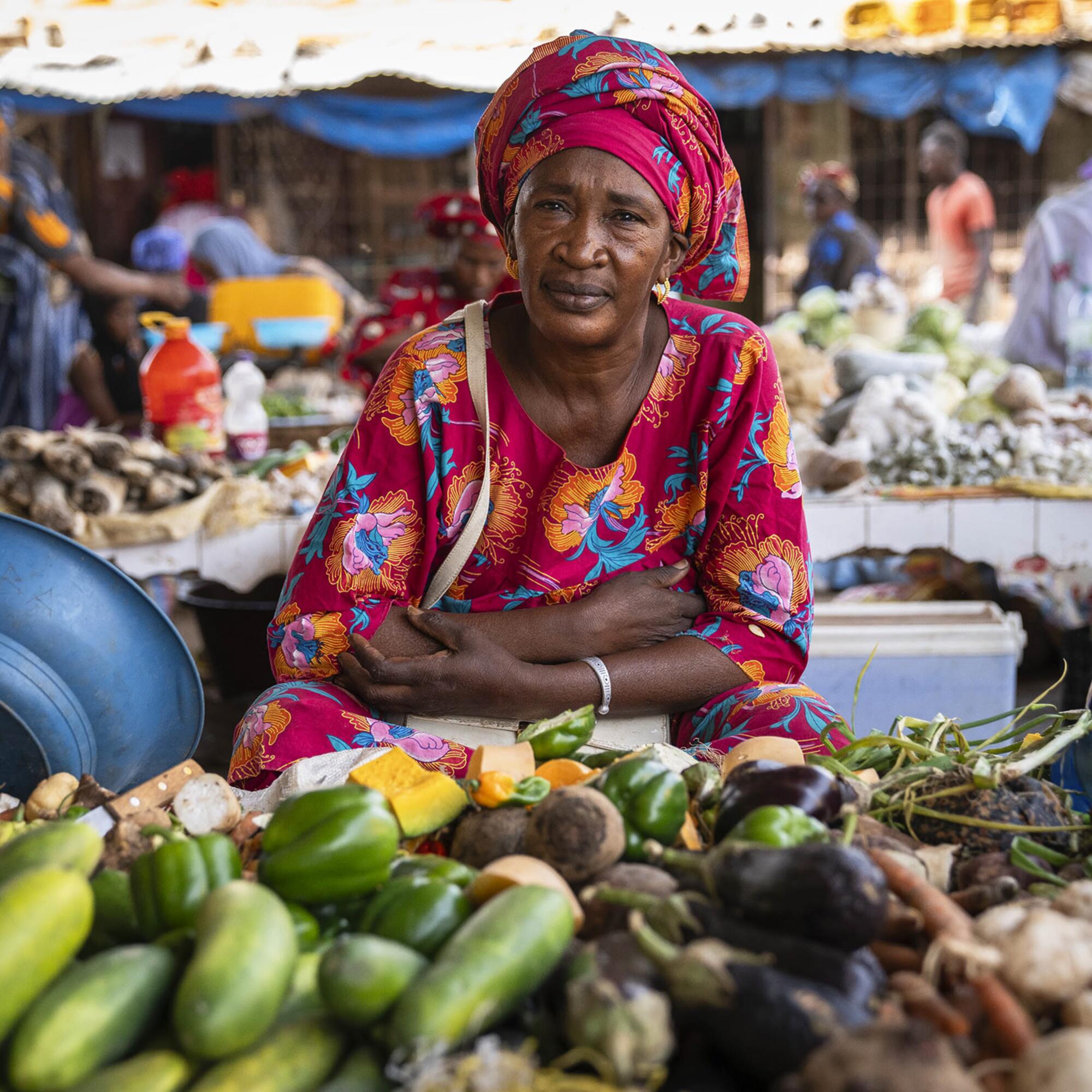 Agroecología y feminismo en Senegal - 6