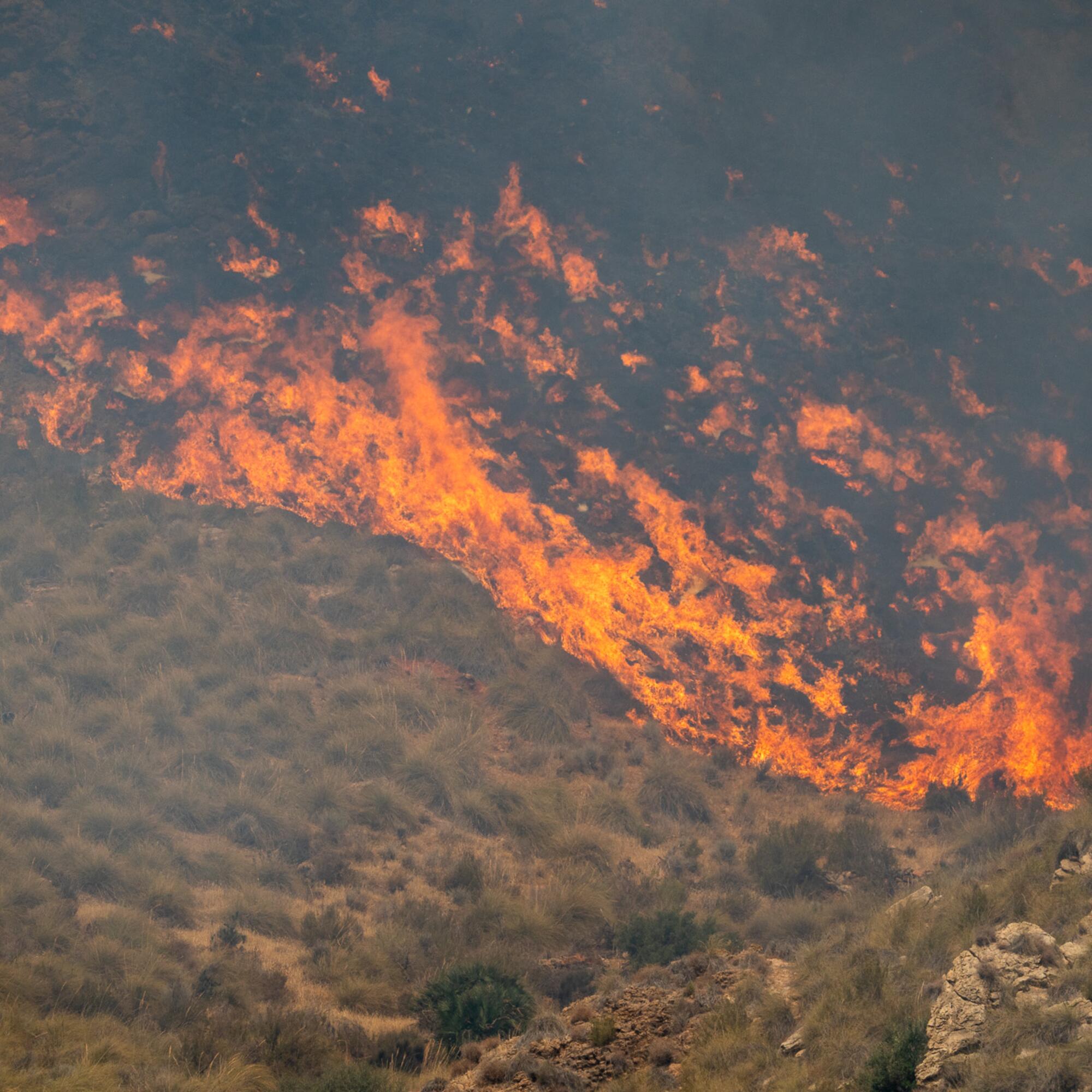 Incendio Los Gallardos