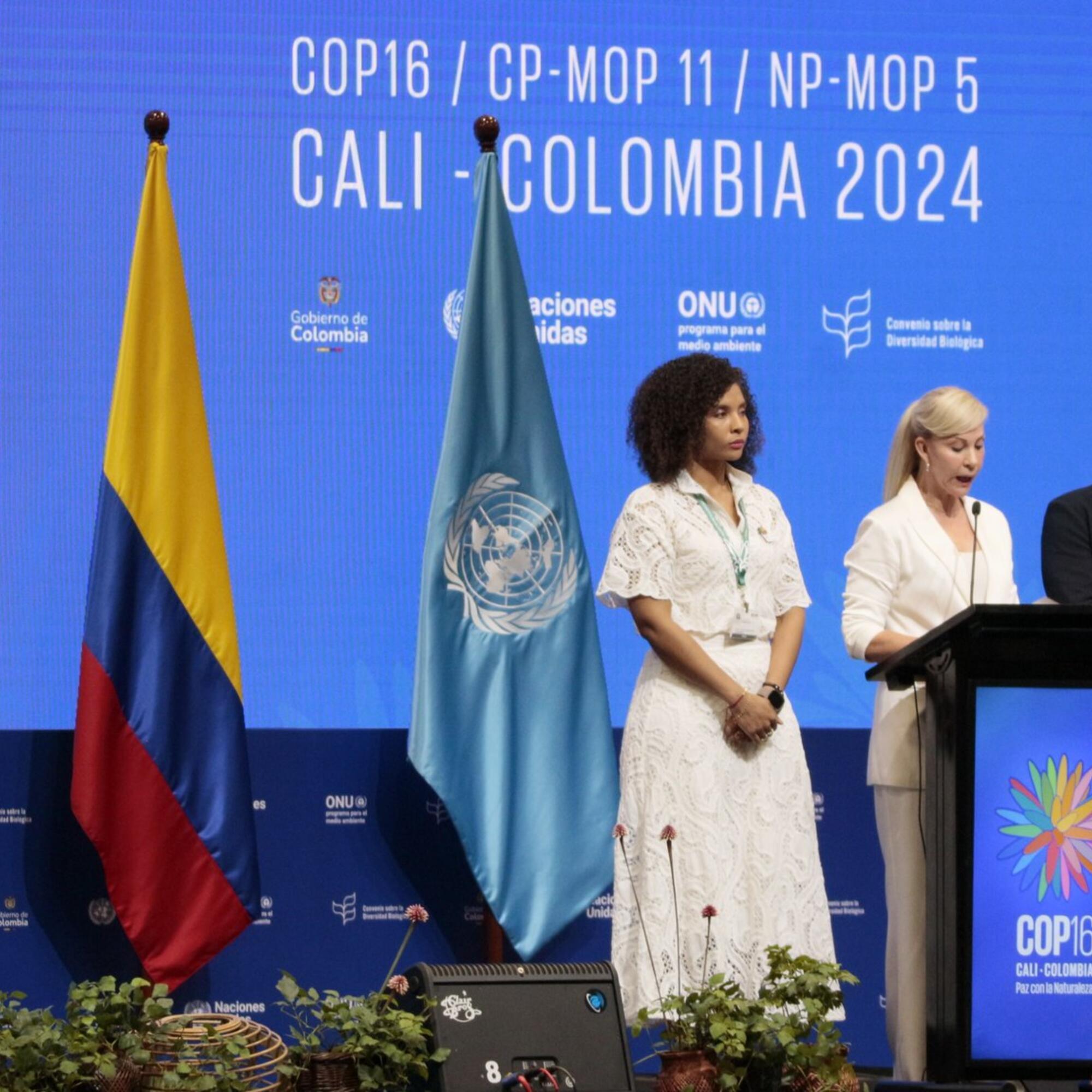 Apertura COP16 Cali Noviembre 24