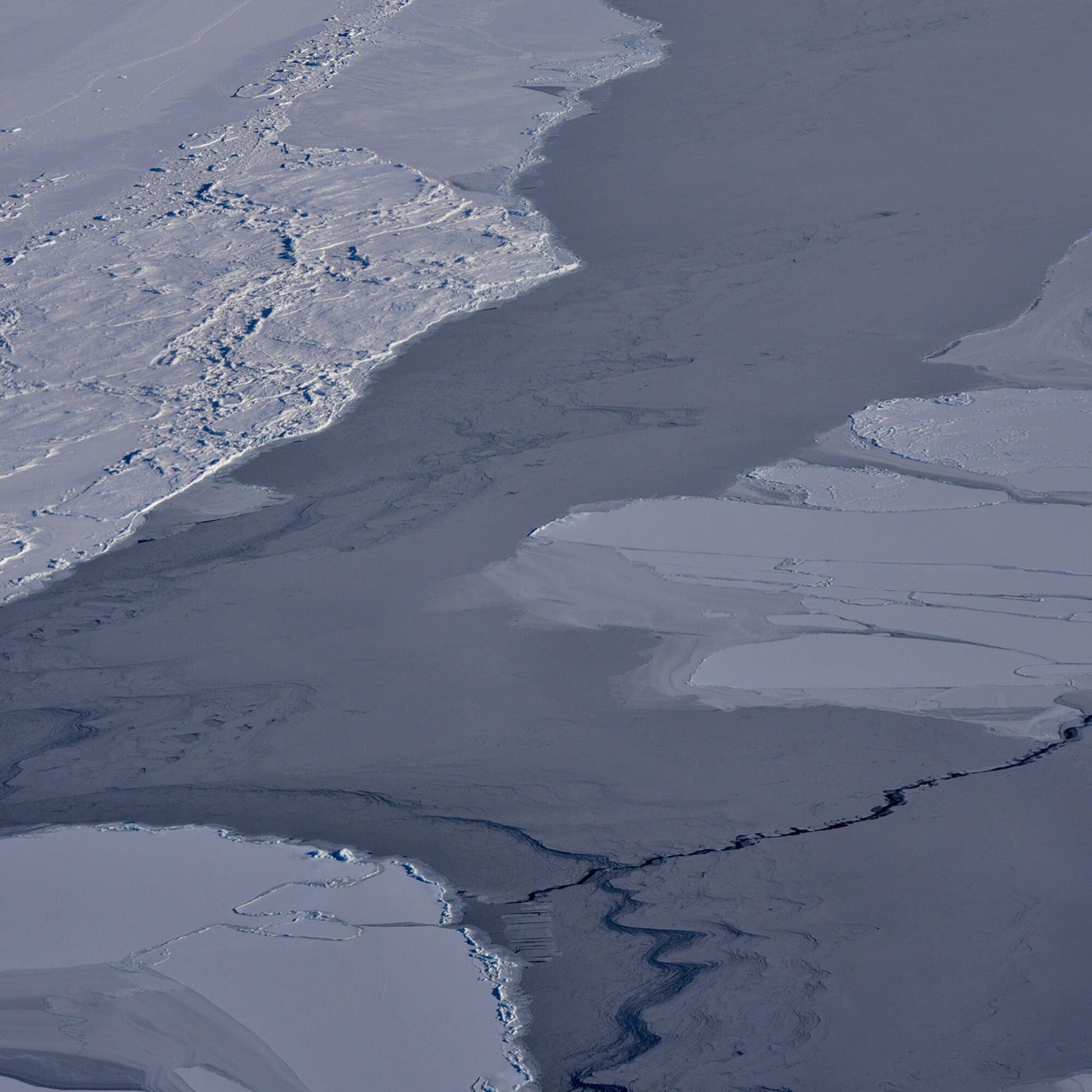 Cambios hielo marino entre Islandia Groenlandia.
