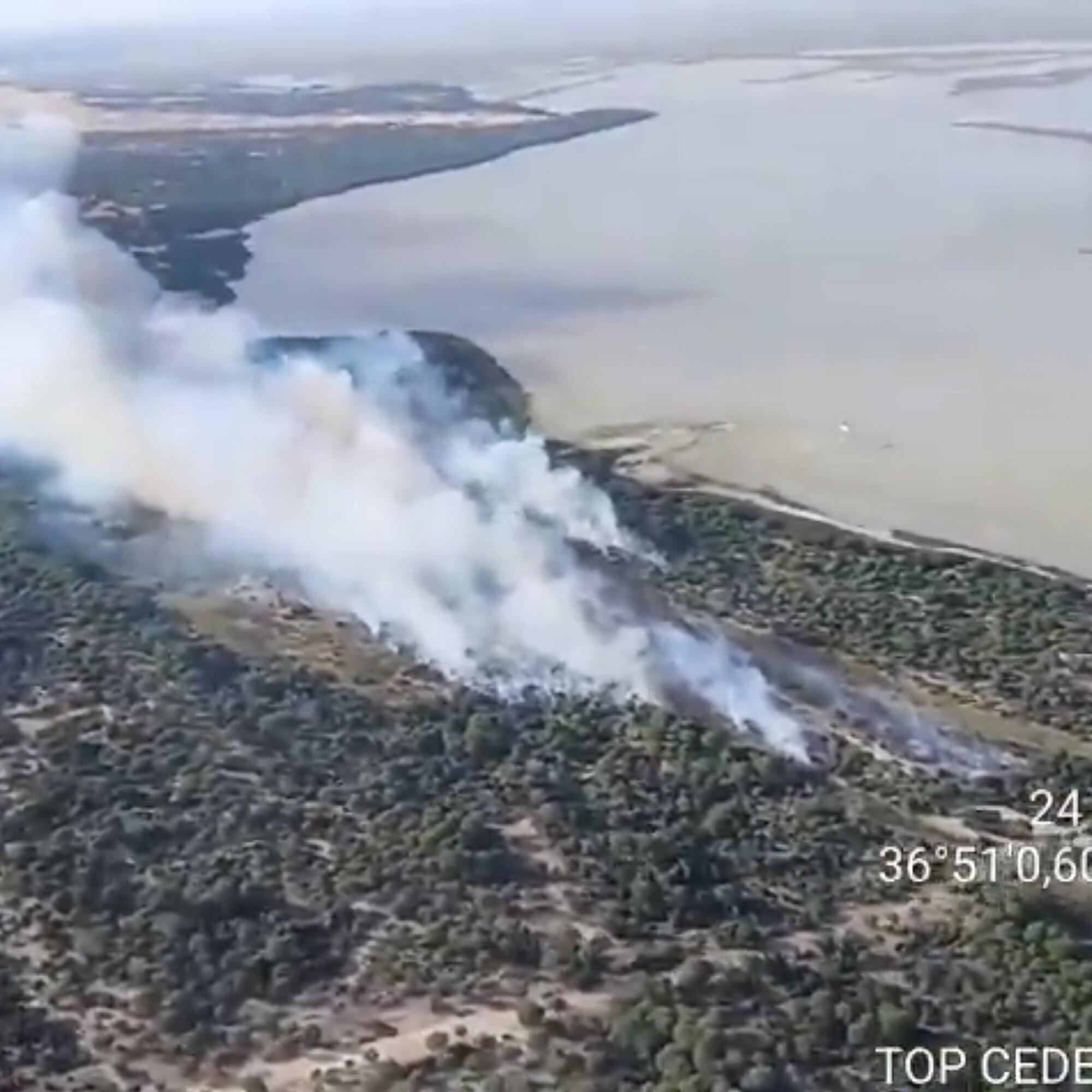 Incendio Doñana mayo 2026