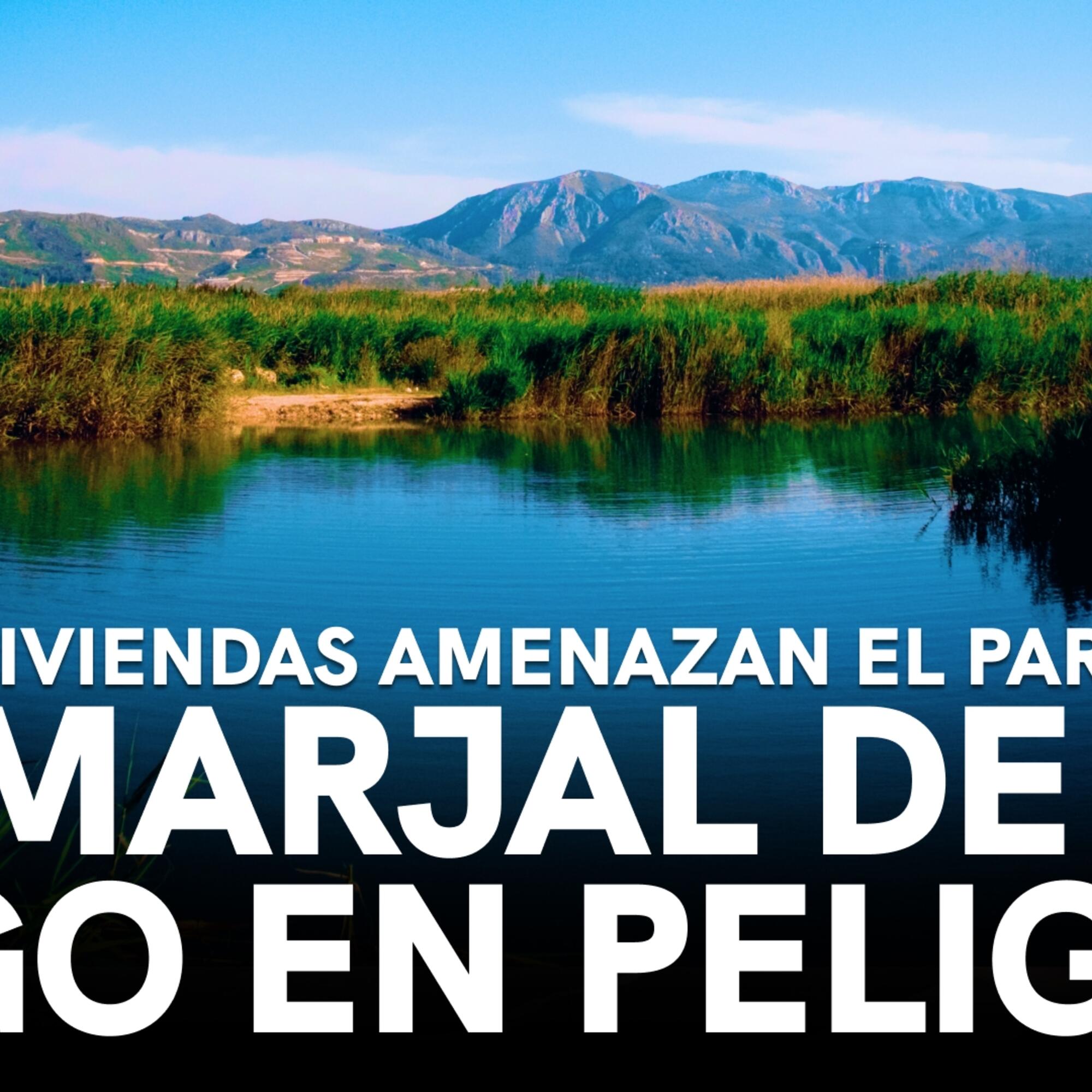 miniatura la marjal de pego