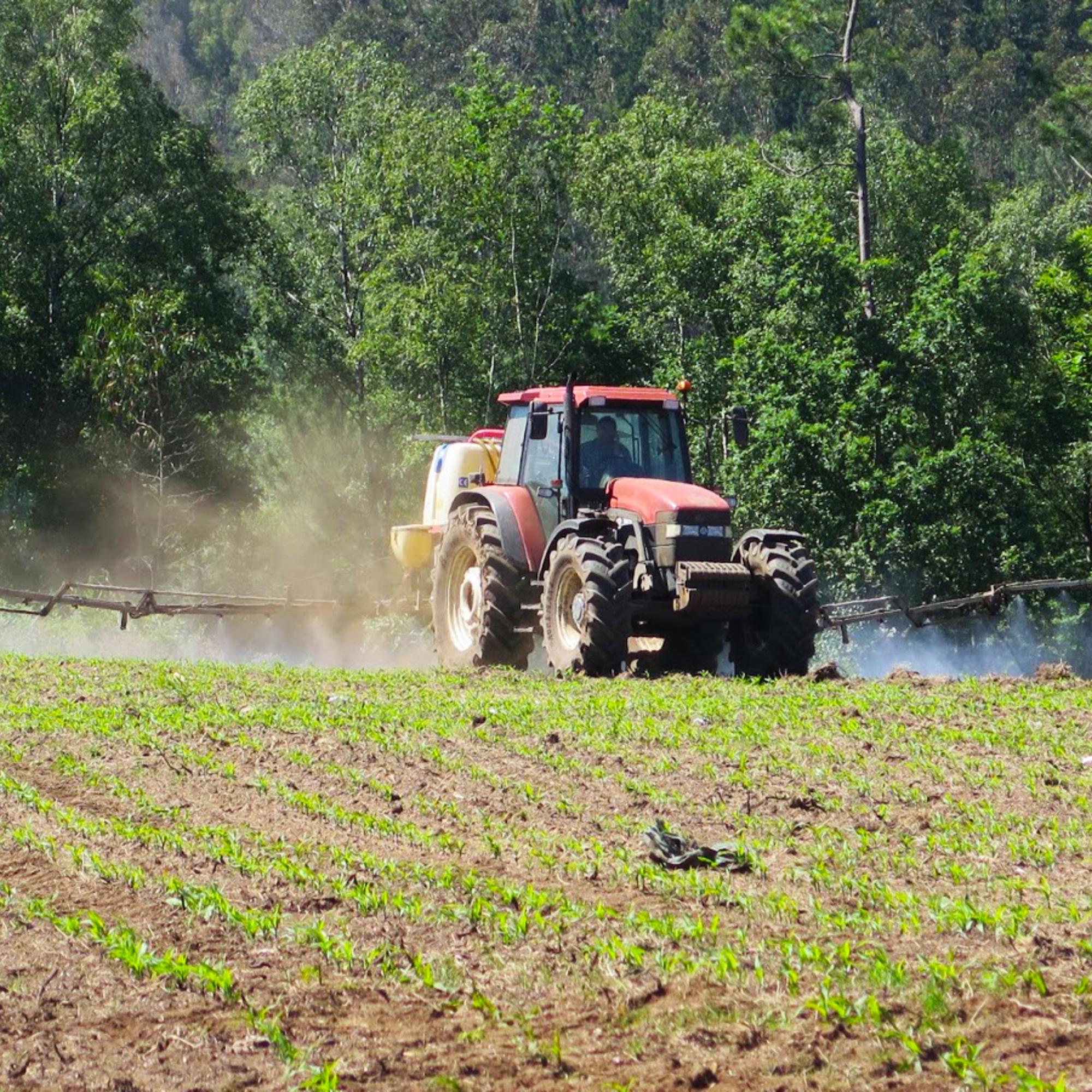 pesticidas campo maiz galicia