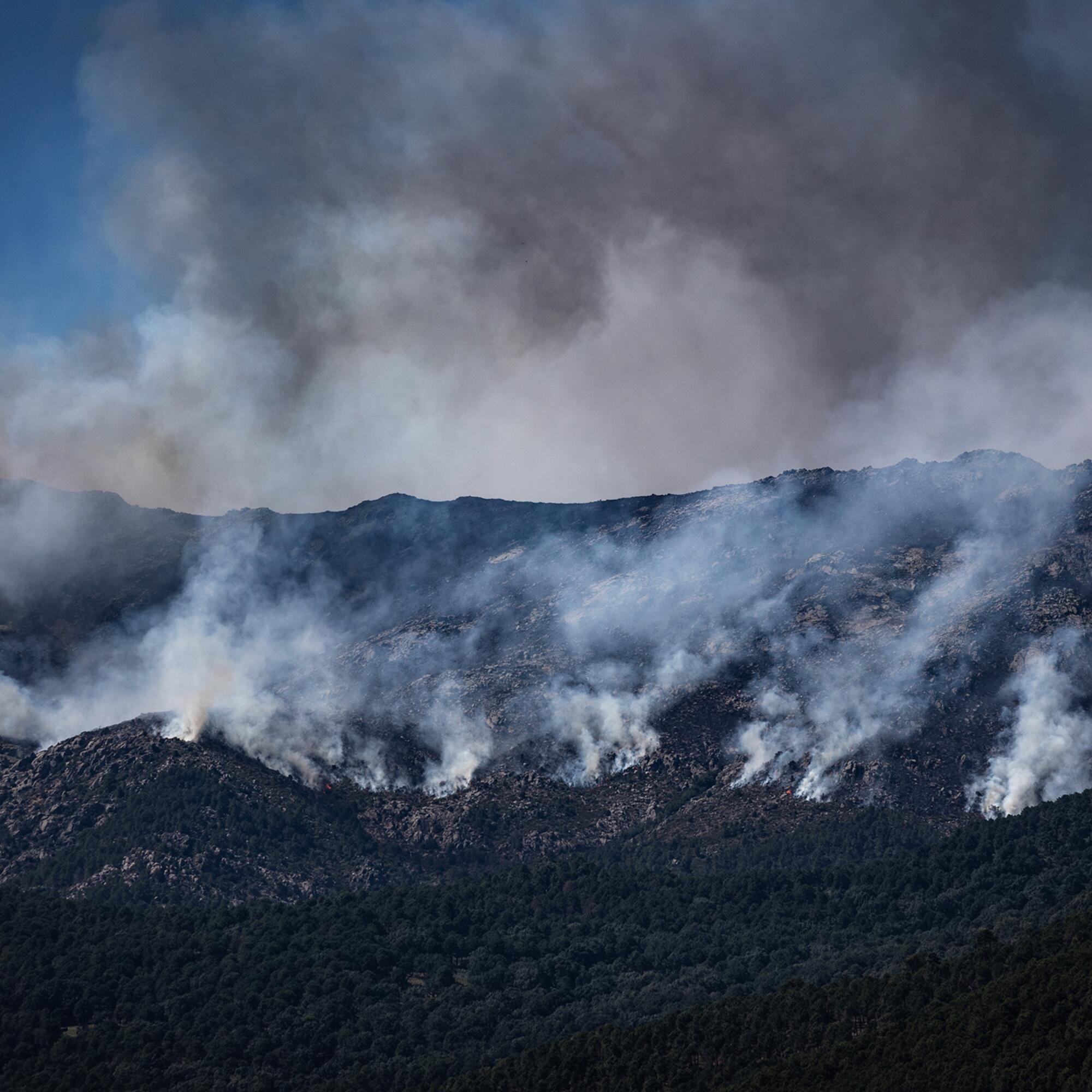 Incendio Ávila 24-07-26 - 1