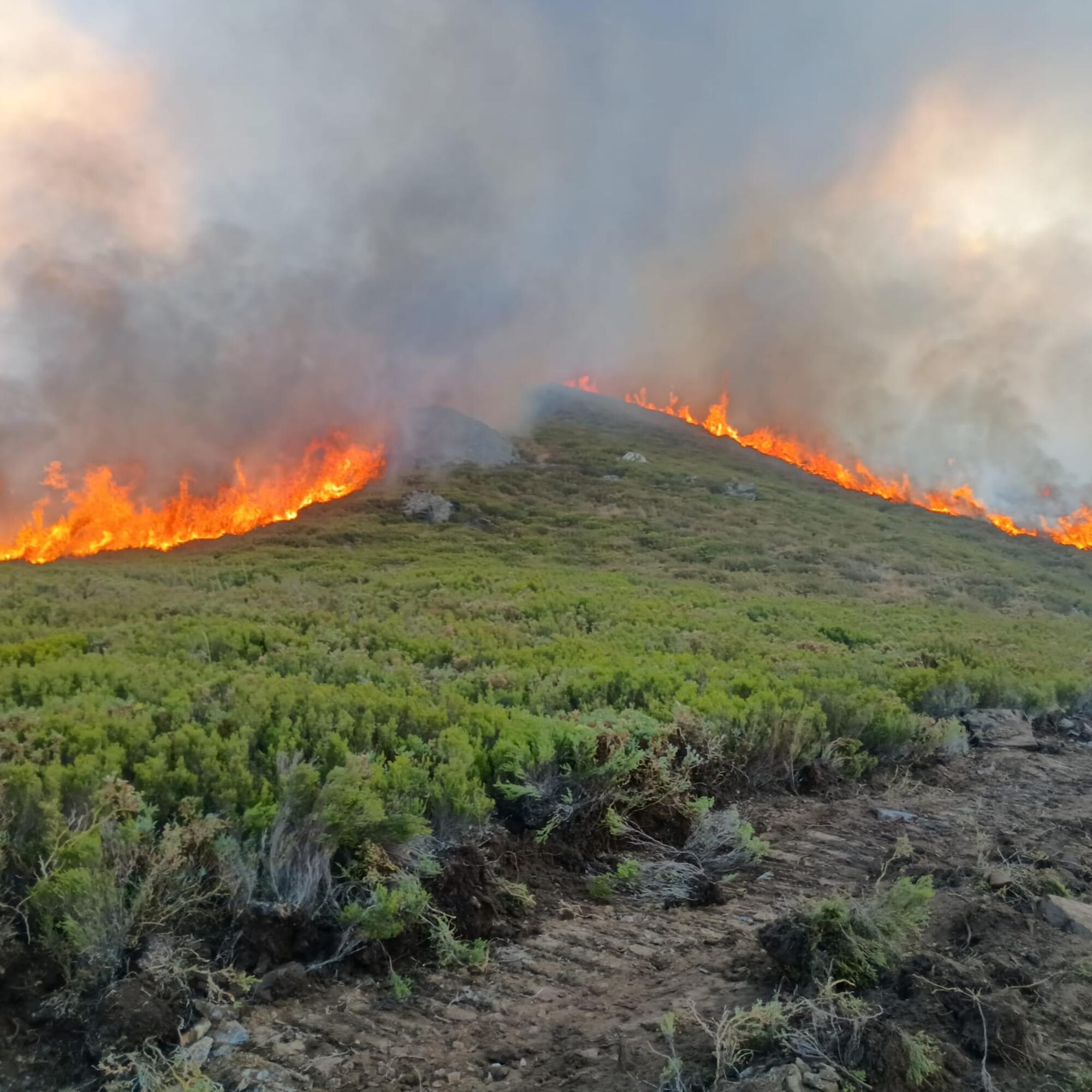 Incendios Trevinca 2025 - 1