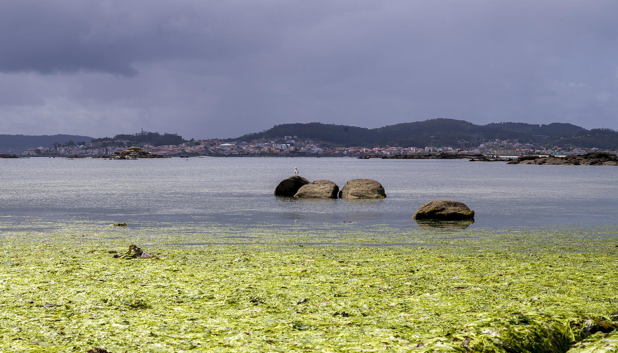 Galicia Abril 25 - 9