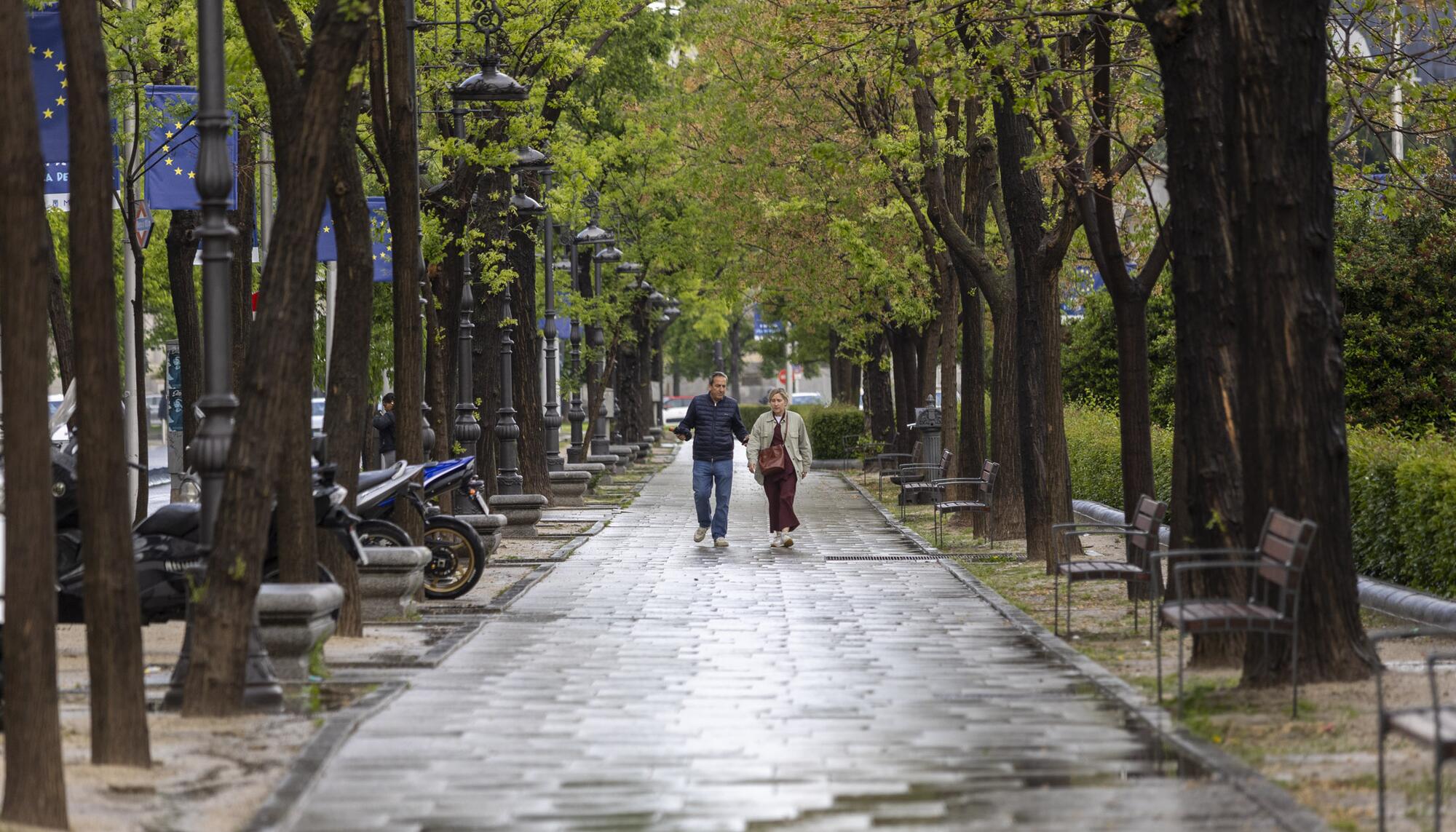 Paseo de la Castellana Madrid