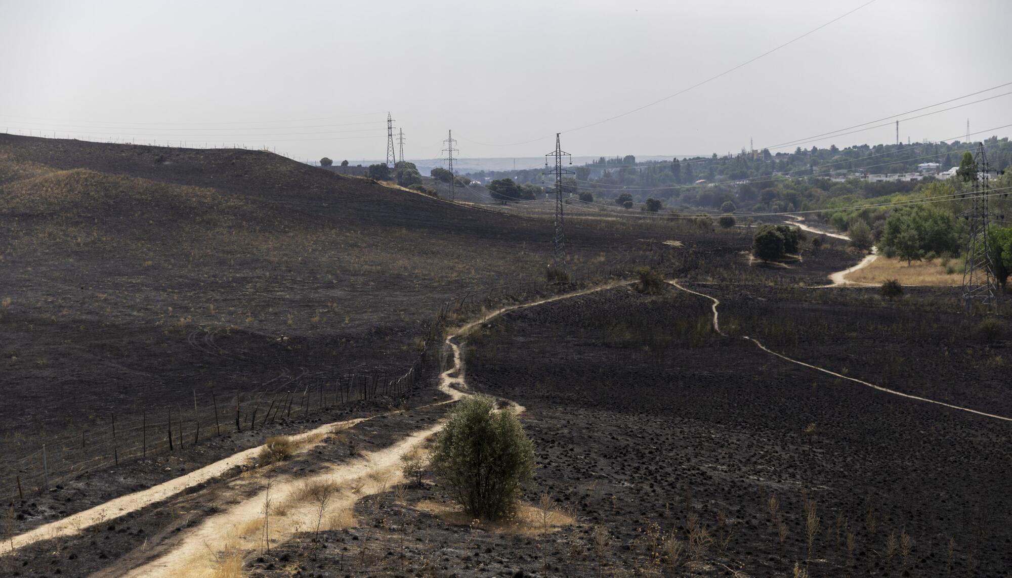 Incendio Tres Cantos  - 5