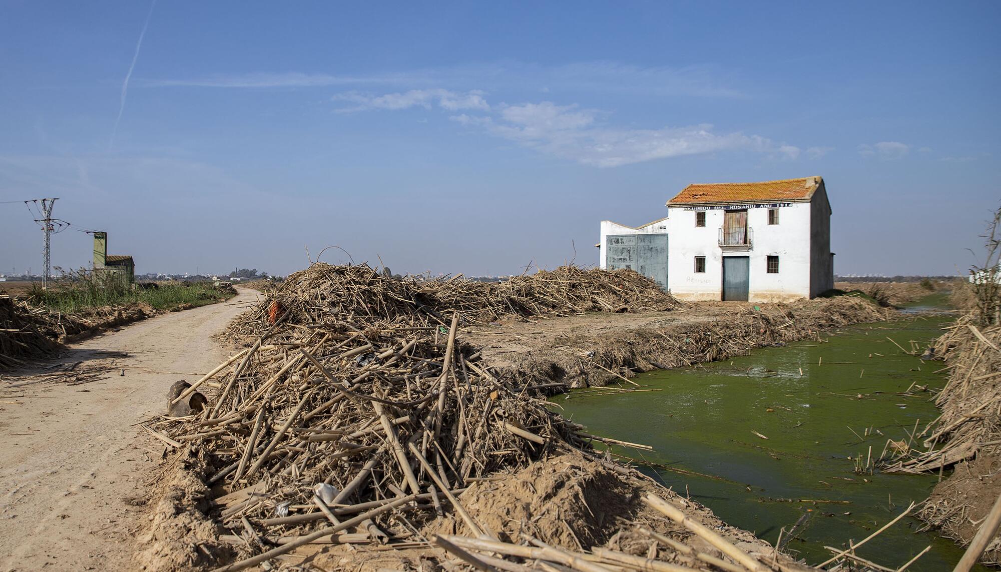 Efectos Dana Albufera - 9