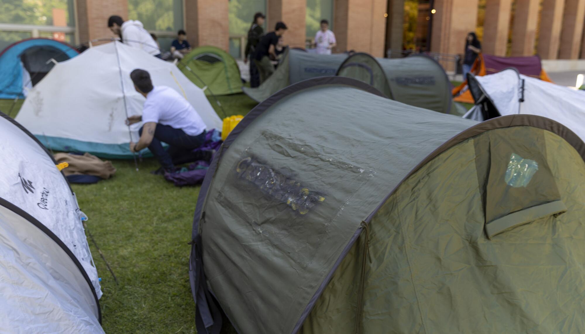 Acampada Palestina Complutense 14-05-25 - 2
