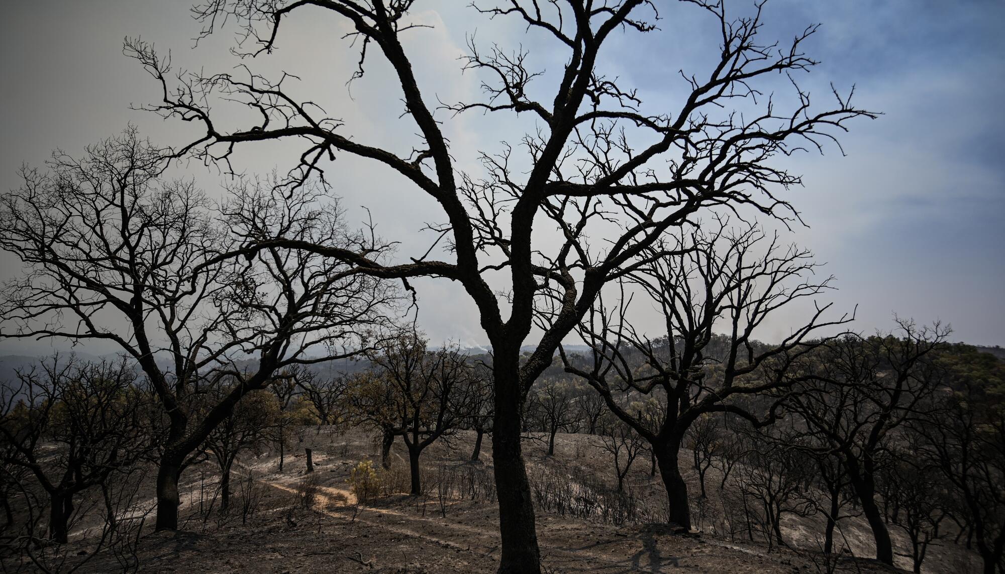 Incendio Niebla Pata del Caballo