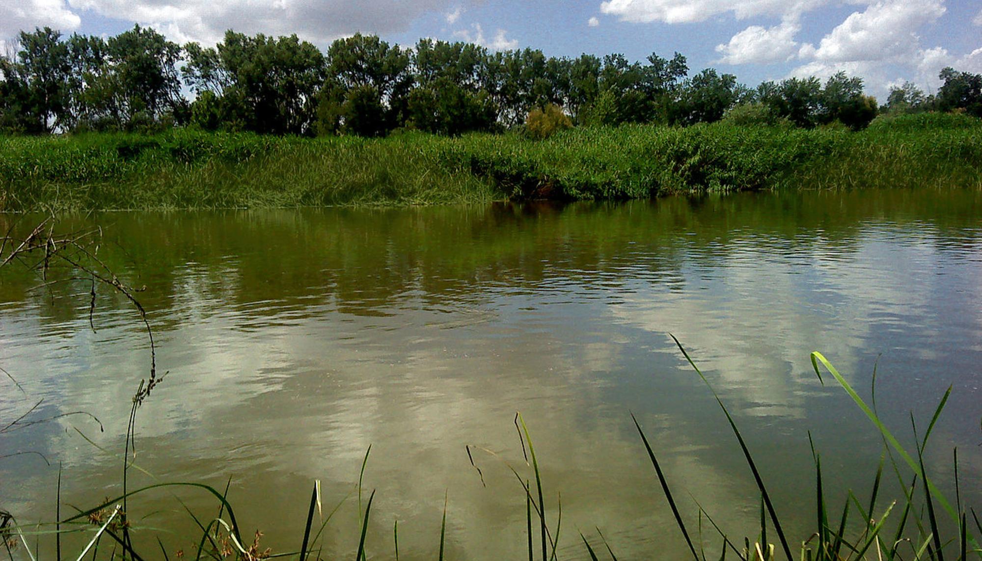 Río Tajo Talavera