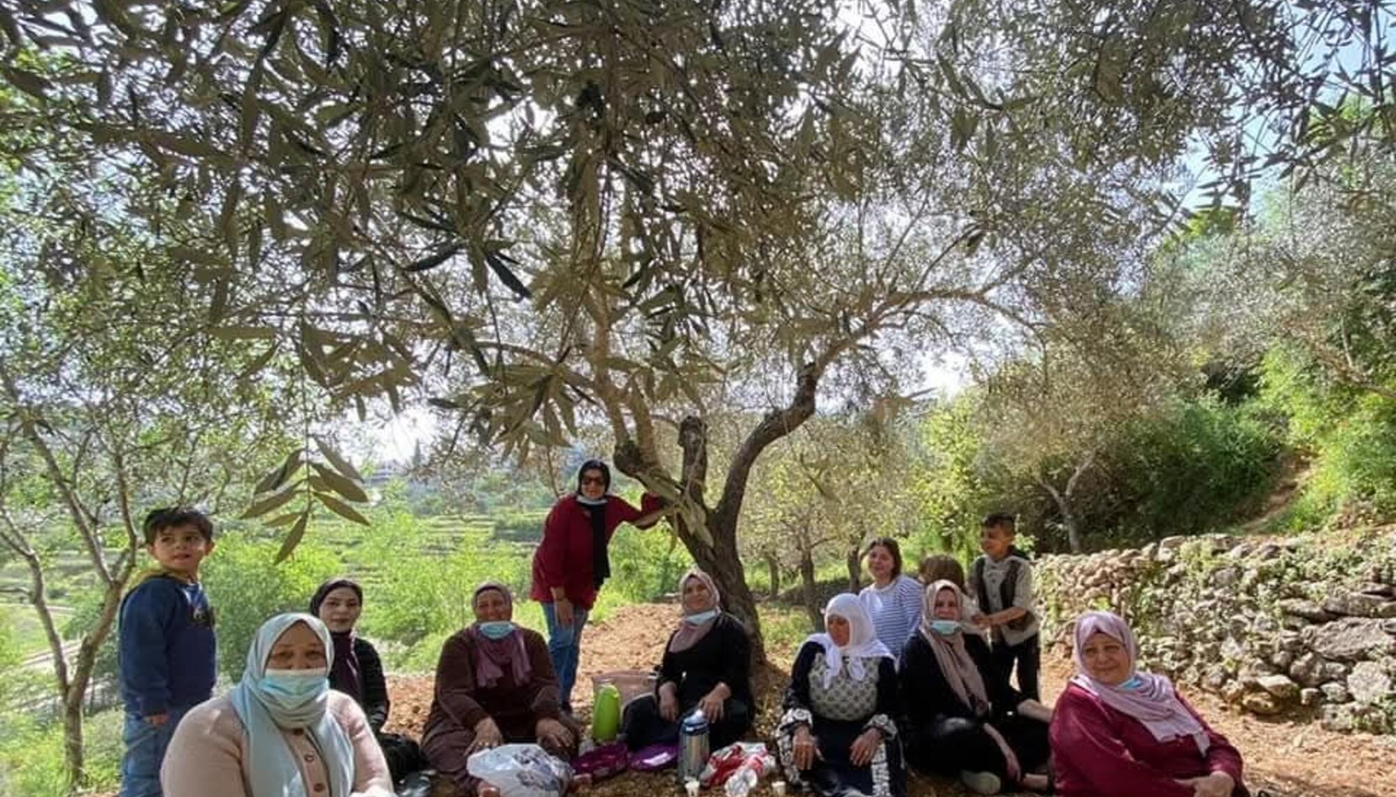 Mujeres aceituneras de Battir, Palestina