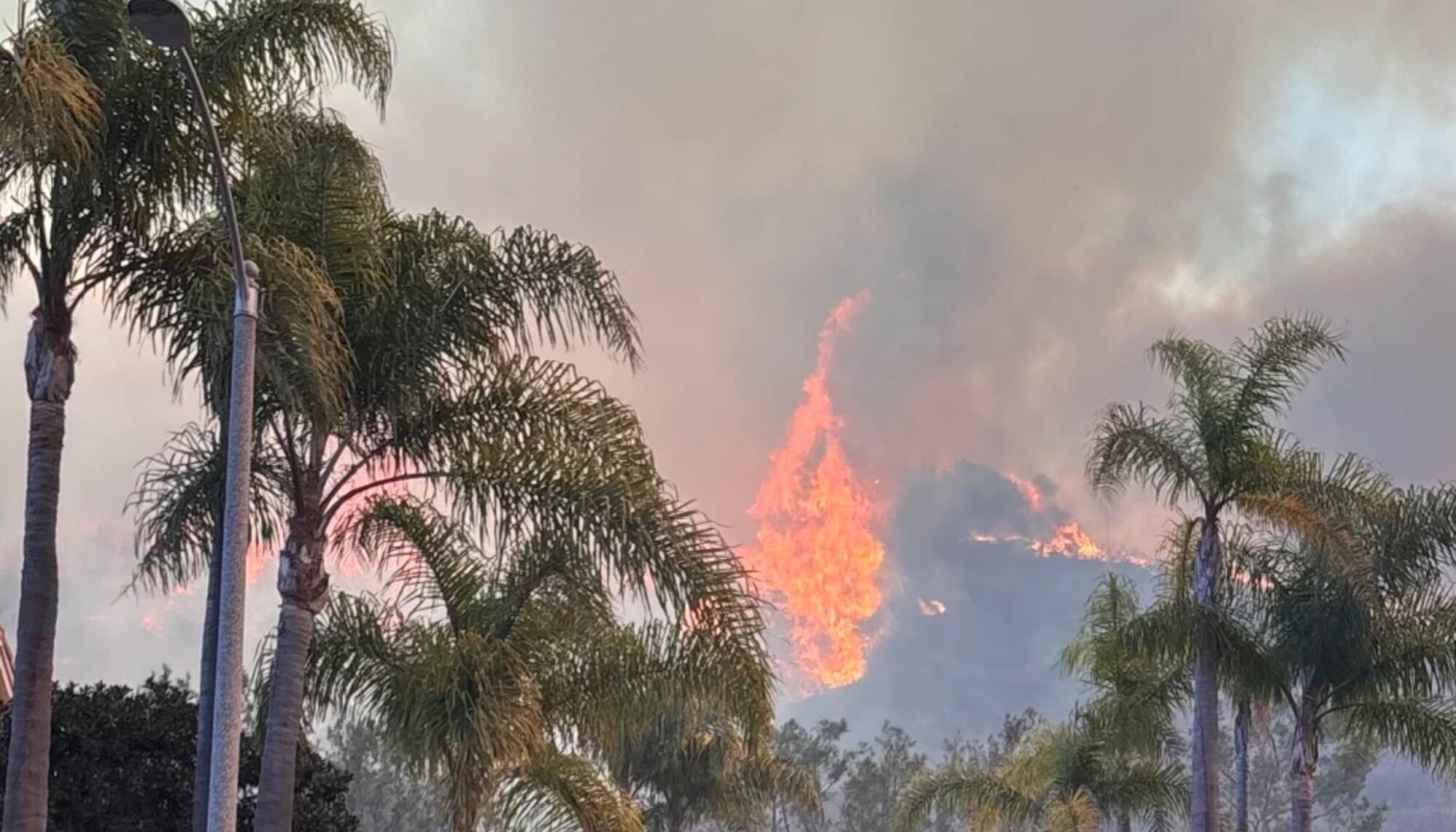 Incendios de enero de 2025 en Los Ángeles. Fuente: Beyond Nuclear