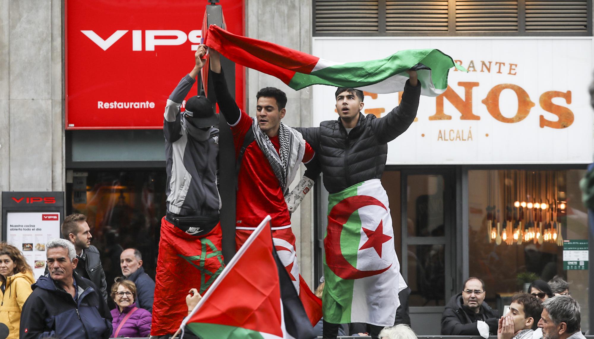 Manifestación Palestina Madrid - 2