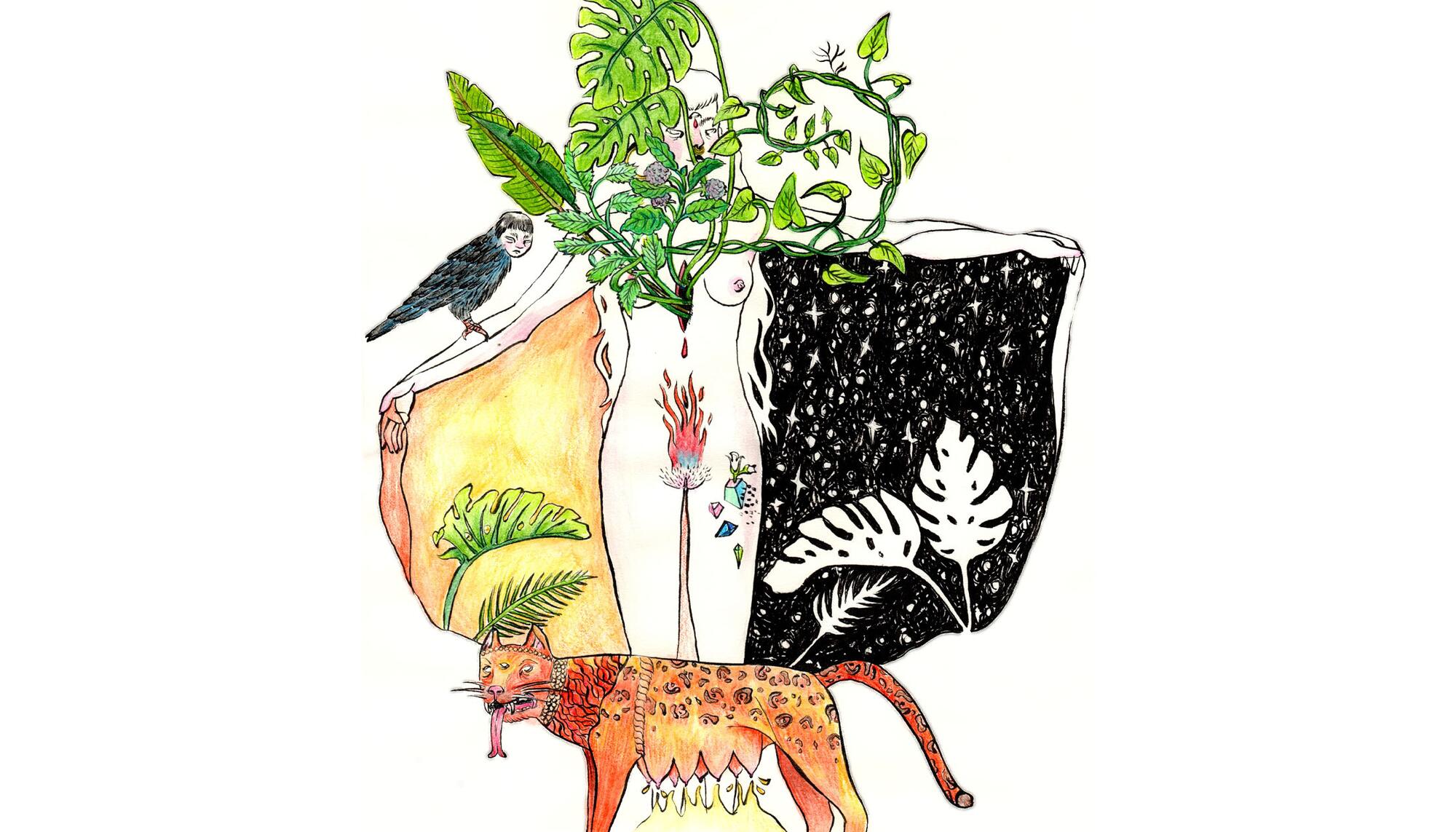 Ilustración Pacha power