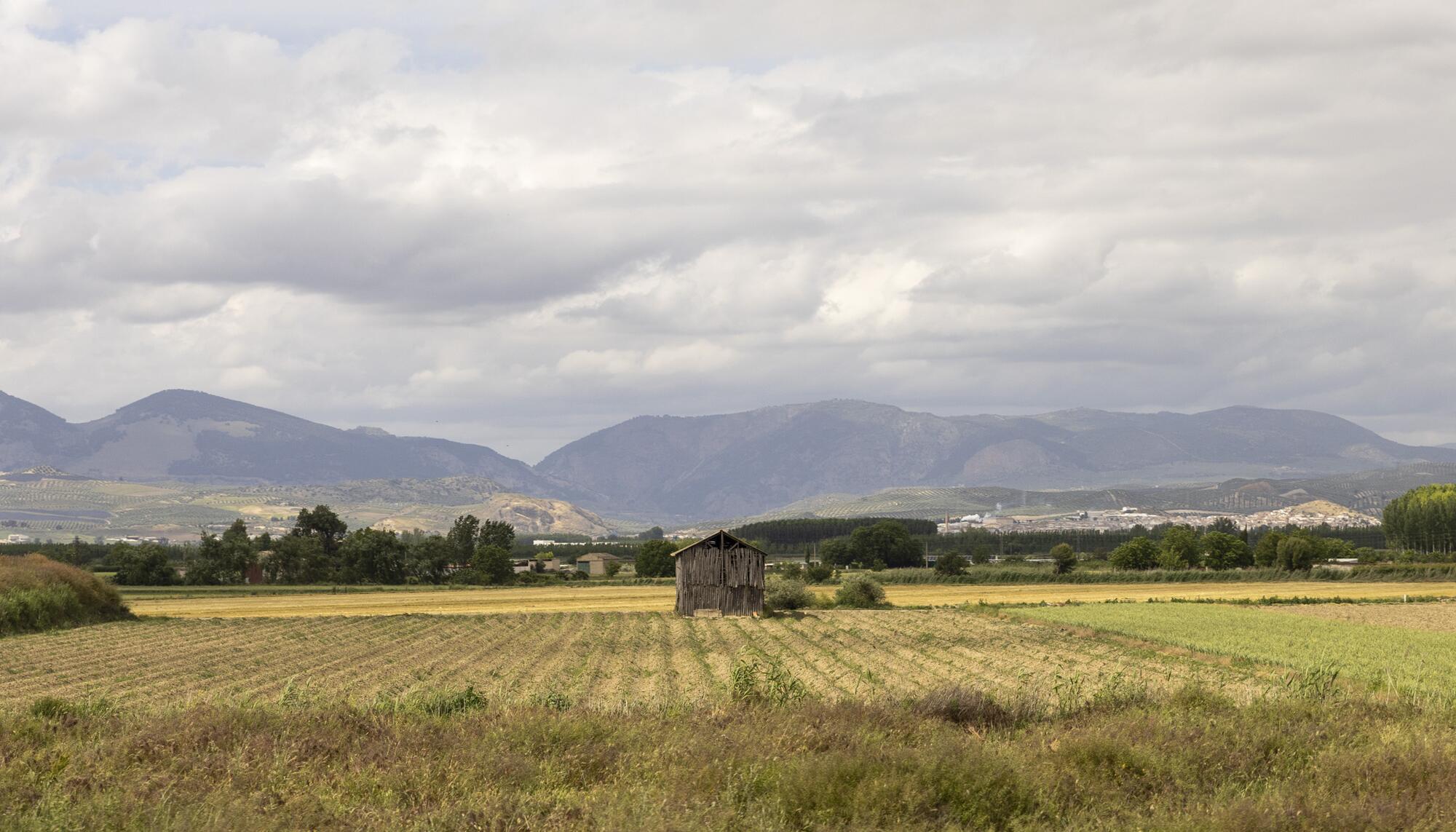 Galería recursos Andalucía 10-05-2026 - 9