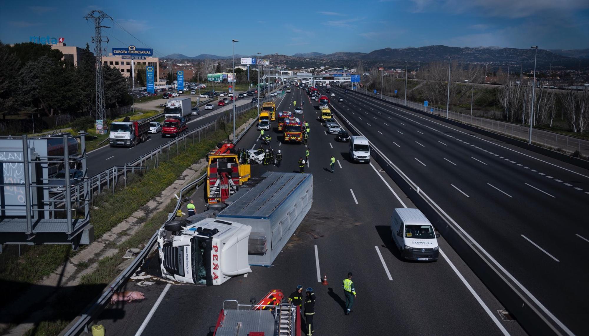 Camión cargado con cerdos en la A6 (Madrid) | Aitor Garmendia | Tras los Muros