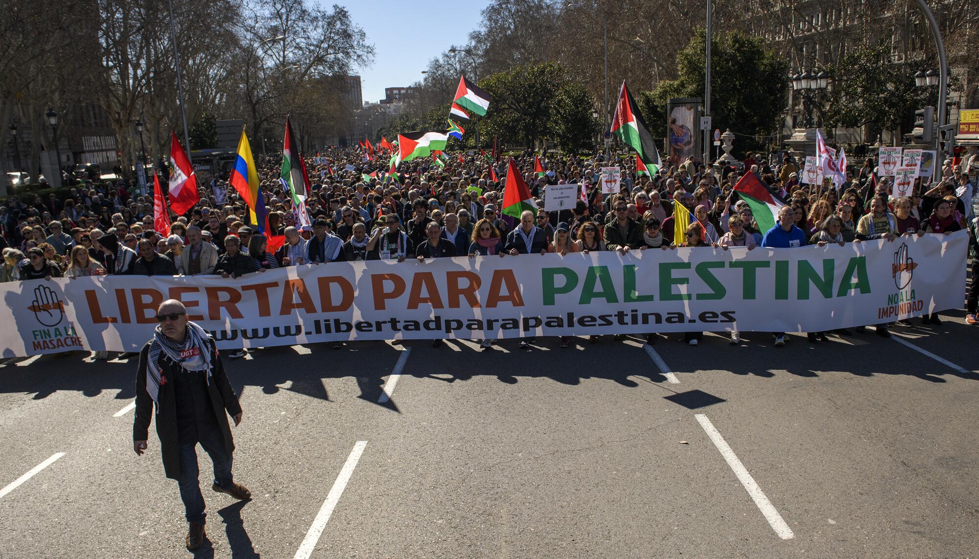 Manifestación del 17 de febrero "Libertad para Palestina" convocada por Sumar, IU, Más País, PCE y los grandes sindicatos. El PSOE apoyó la manifestación como "participante". - 2