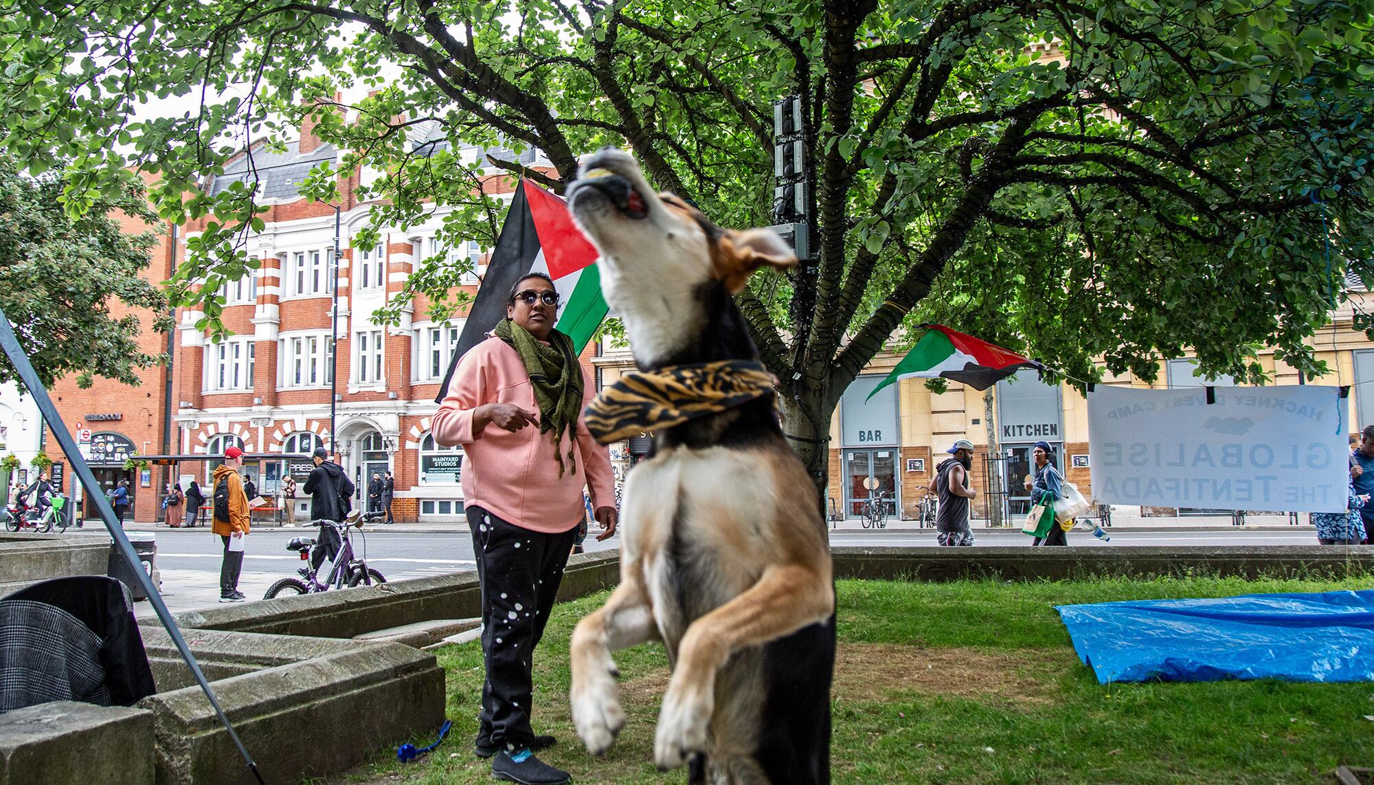 Acampada Palestina Hackney en Londres
