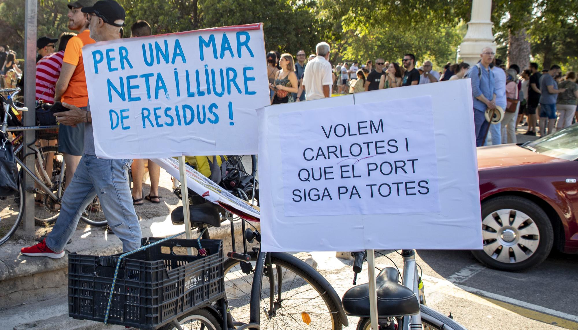 Manifestación contra la ampliación puerto de València - 7