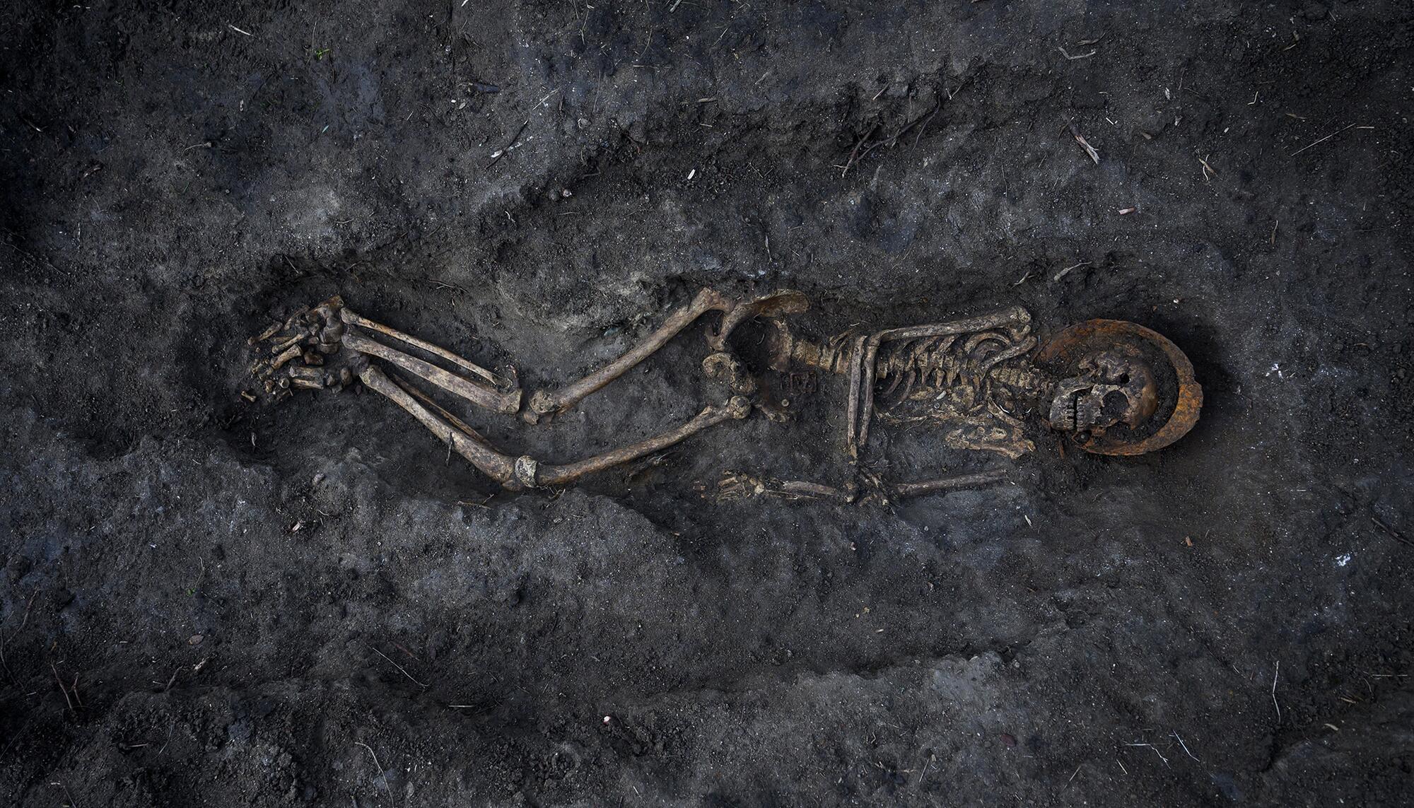 Brigadista Boadilla - 10