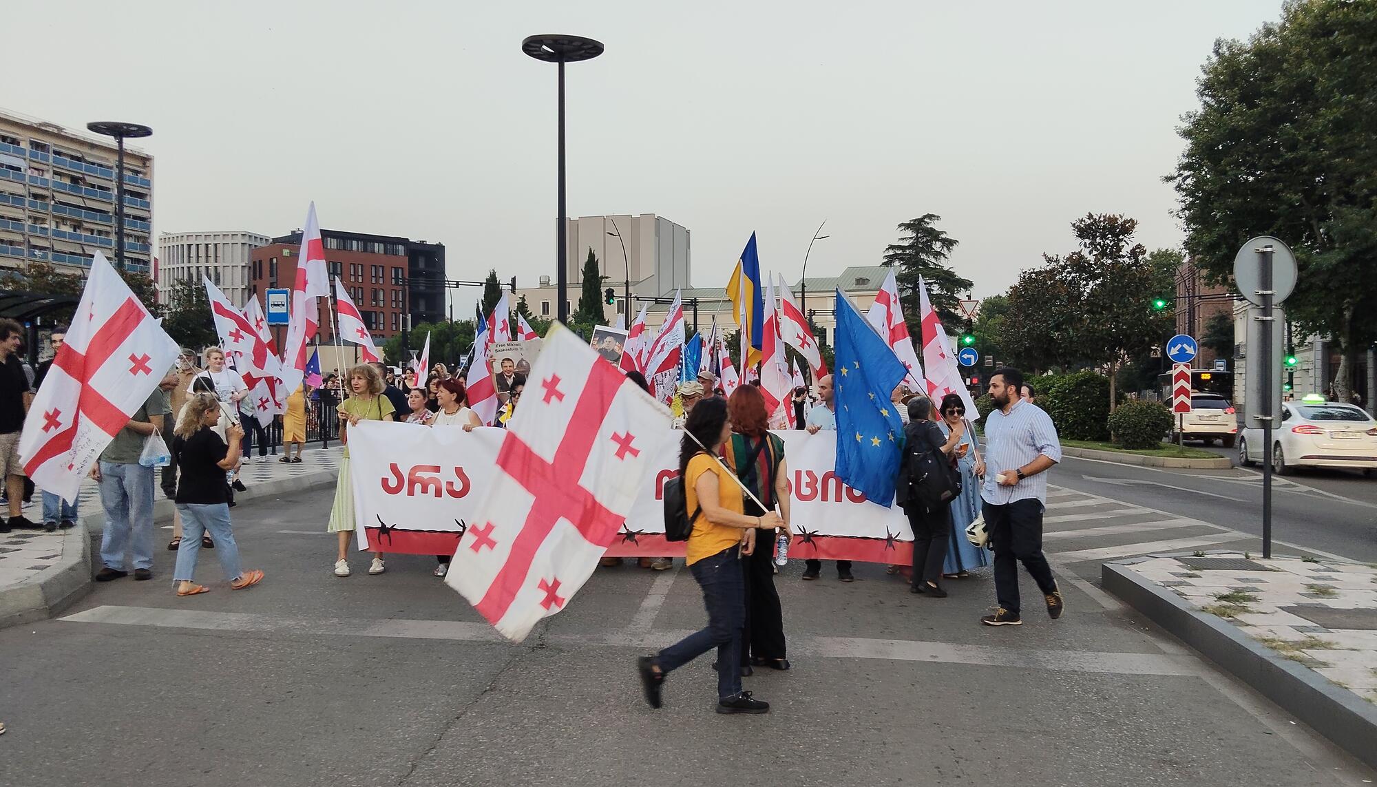 Georgia protestas