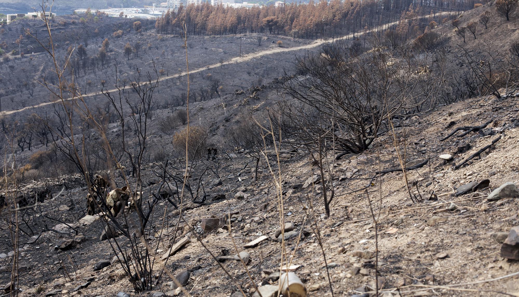 Consecuencias del incendio en Portbou, norte de Catalunya, en el verano de 2022 - 1