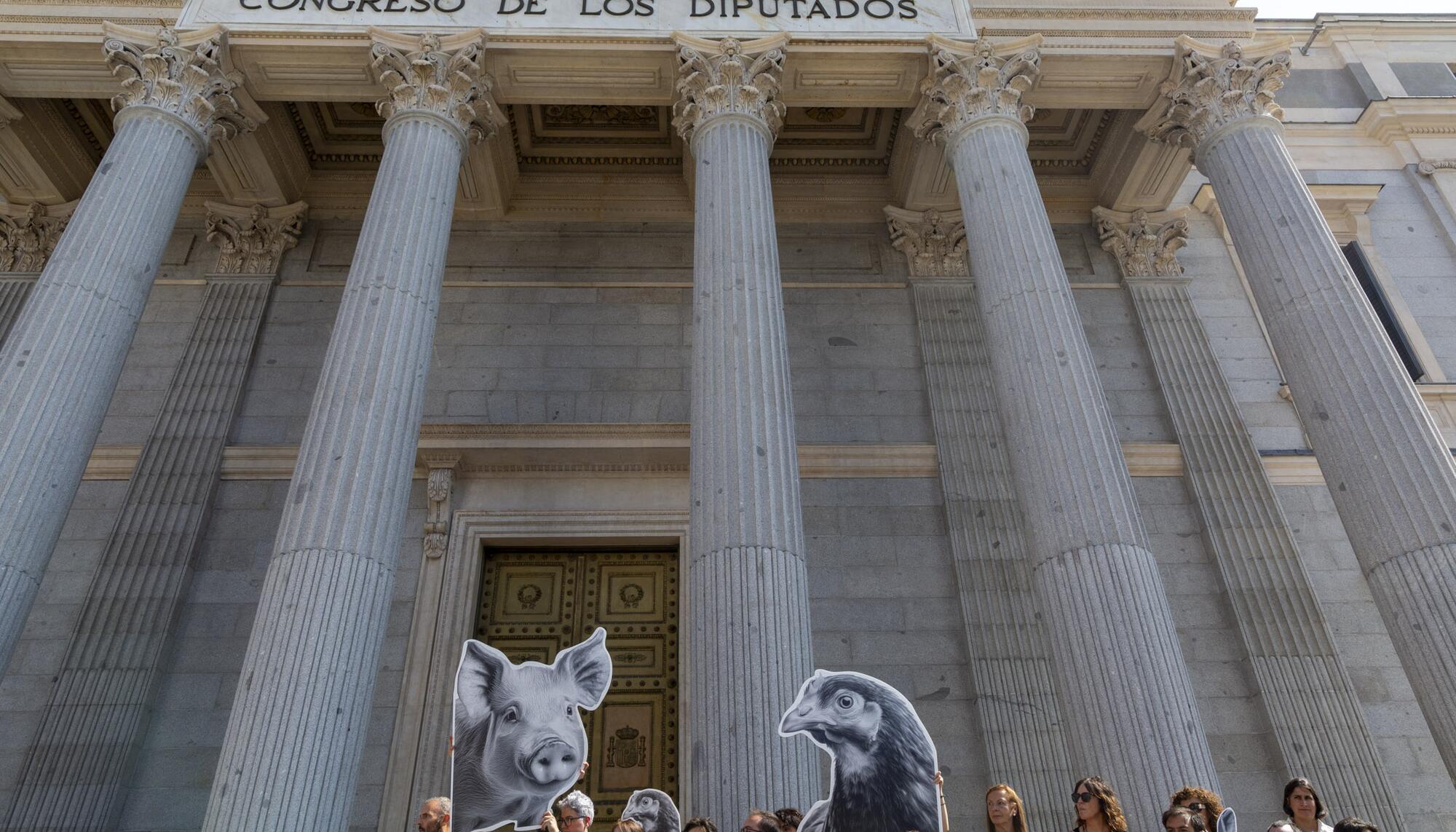Jaulas Congreso - 5