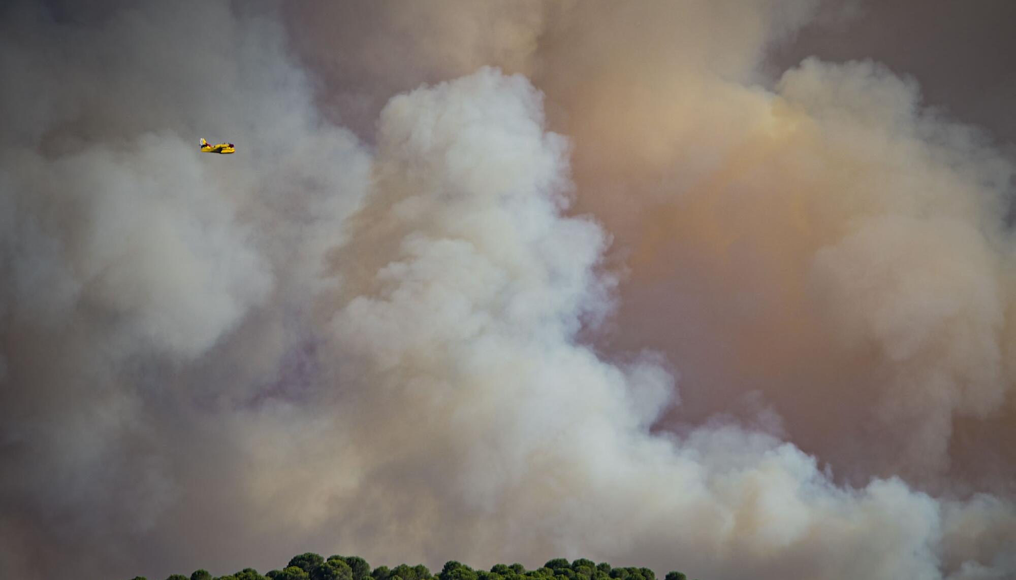 Incendio Niebla Huelva - 8
