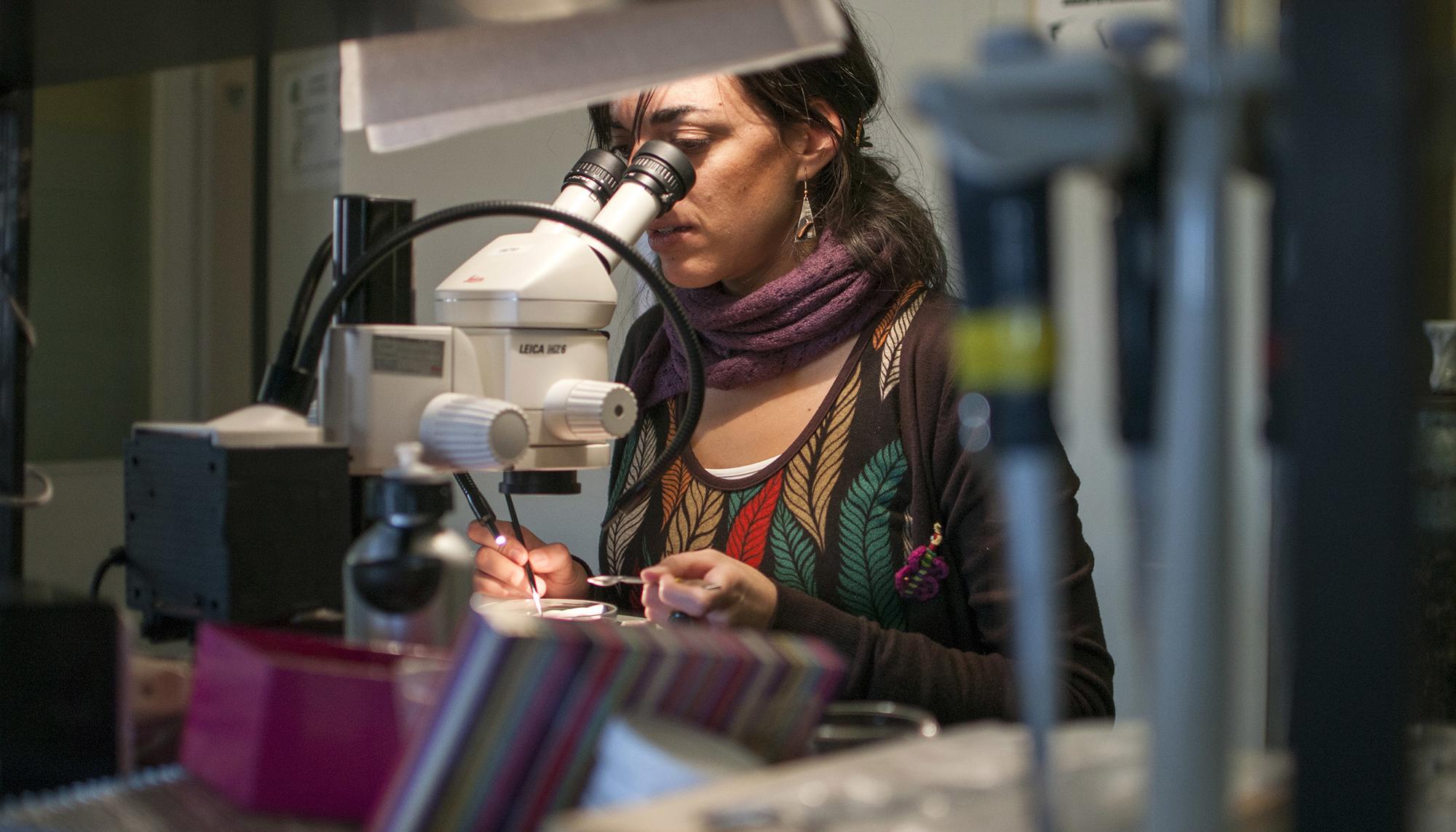 Ciencia e investigación