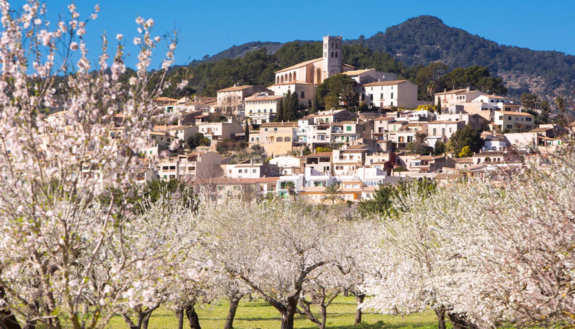 Selva, Mallorca