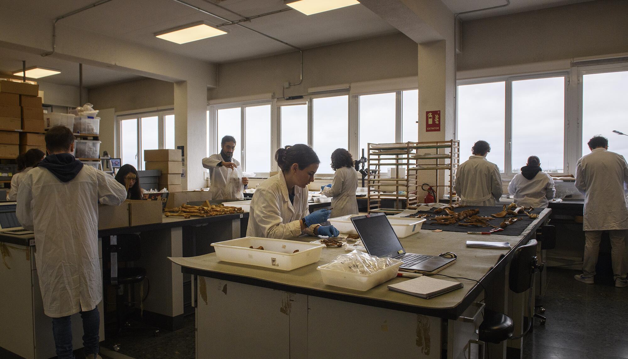 Colmenar Laboratorio