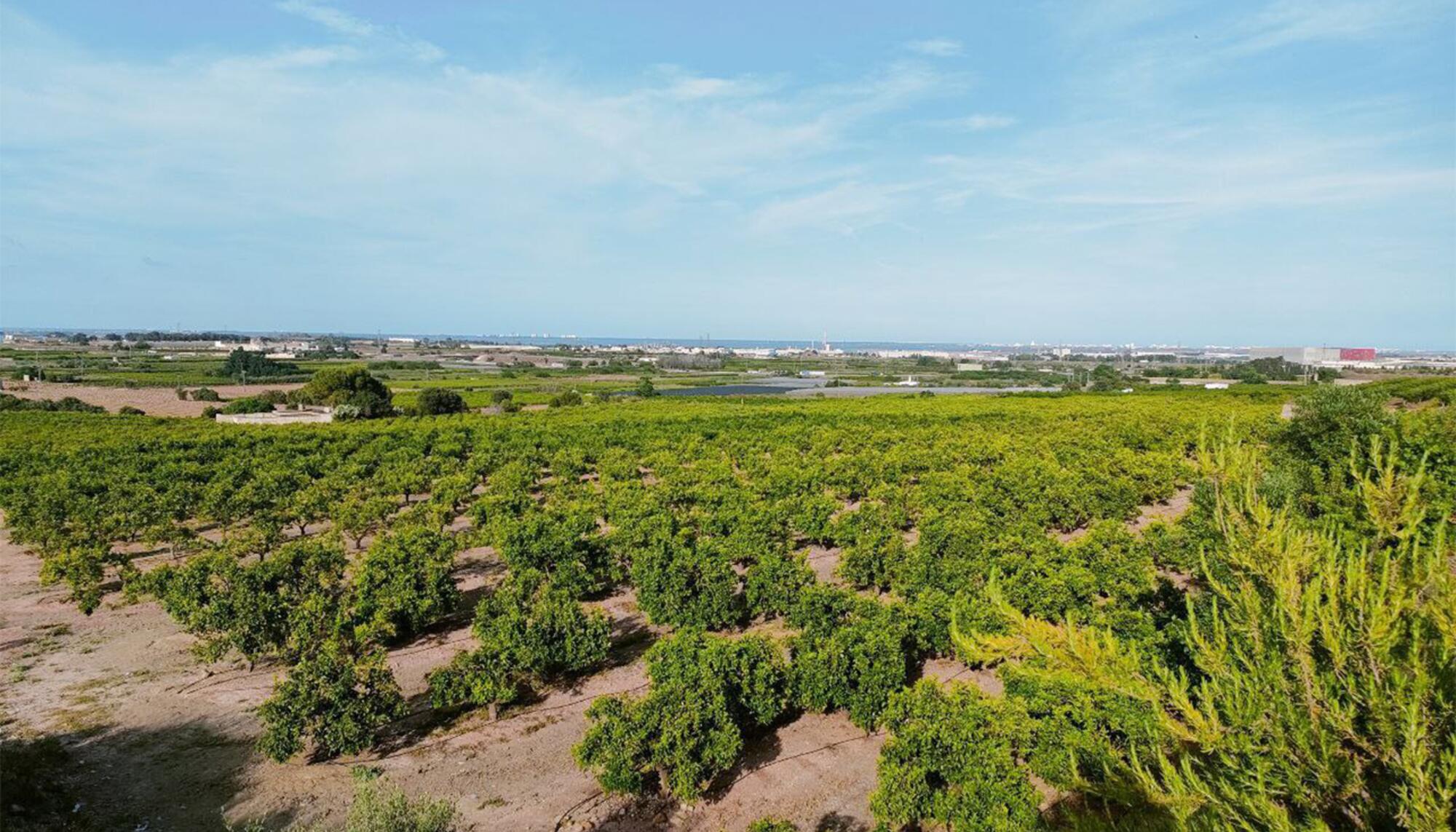 Centro de datos Directa - 1