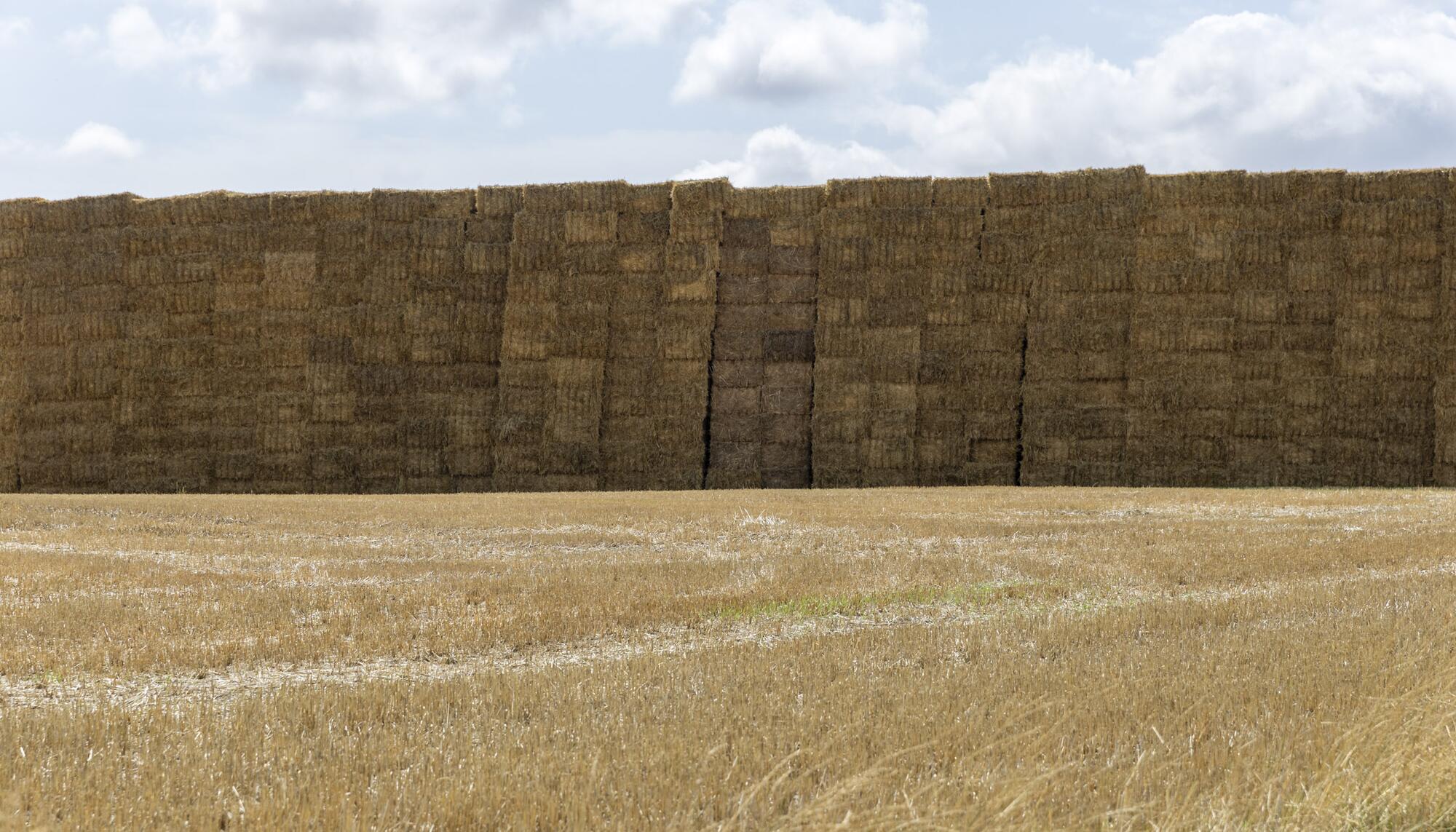 Pacas de paja Navarra