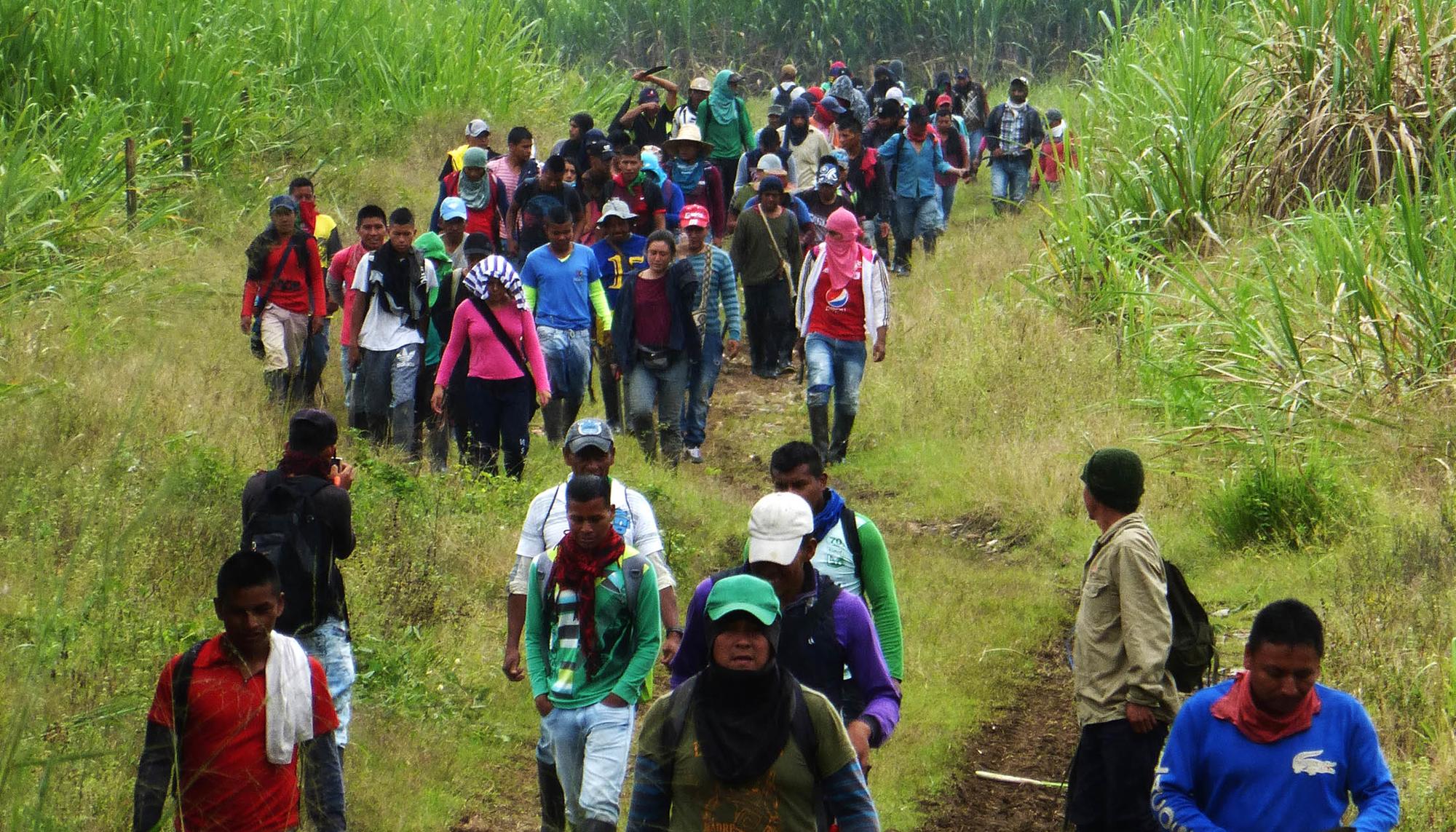 Proceso de liberación de tierras, tal como llaman las comunidad indígenas en el Cauca colombiano a la ocupación de fincas que pertenecían ancestralmente a sus pueblos.